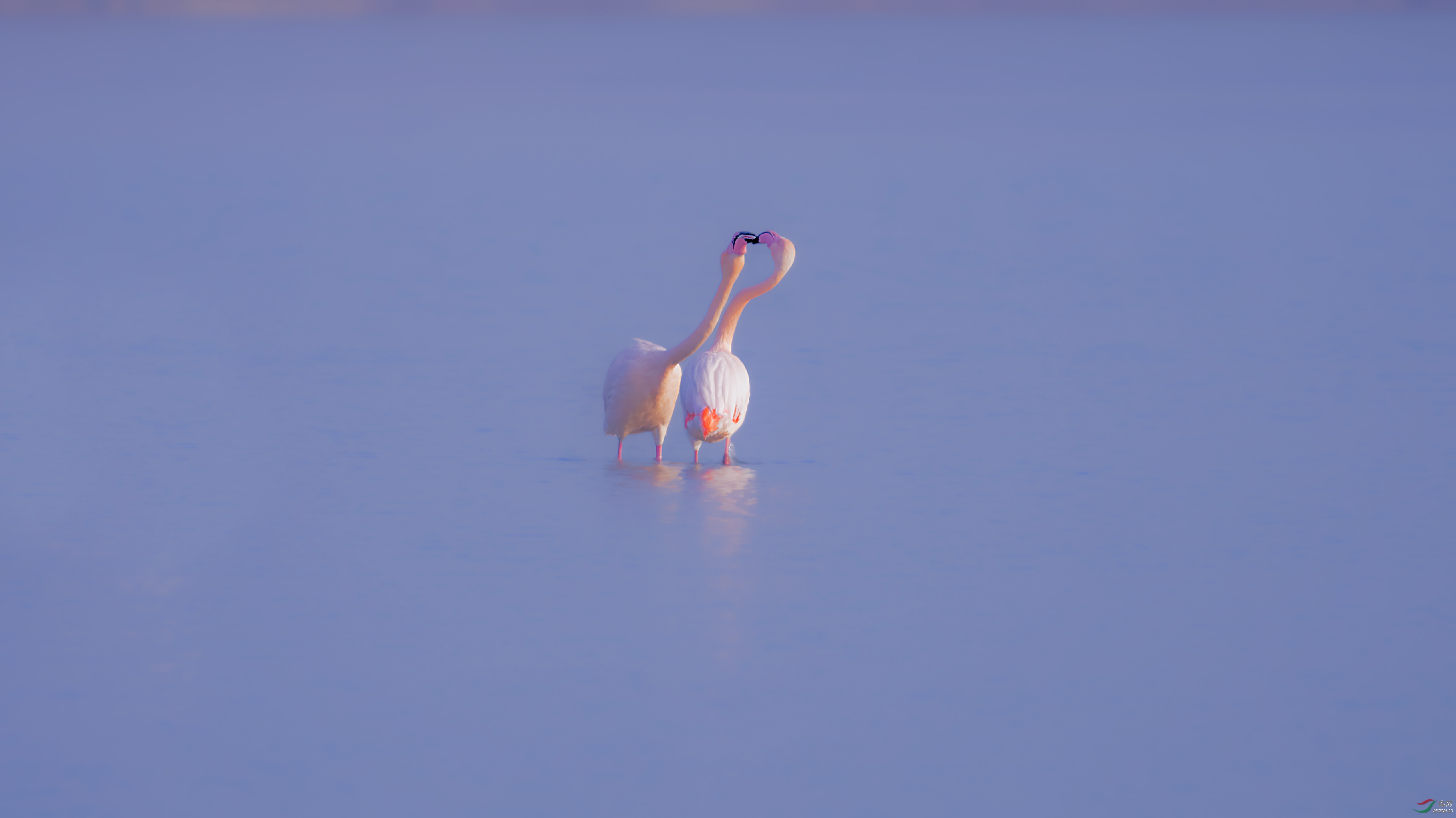 DSC_9979_DxO.jpg