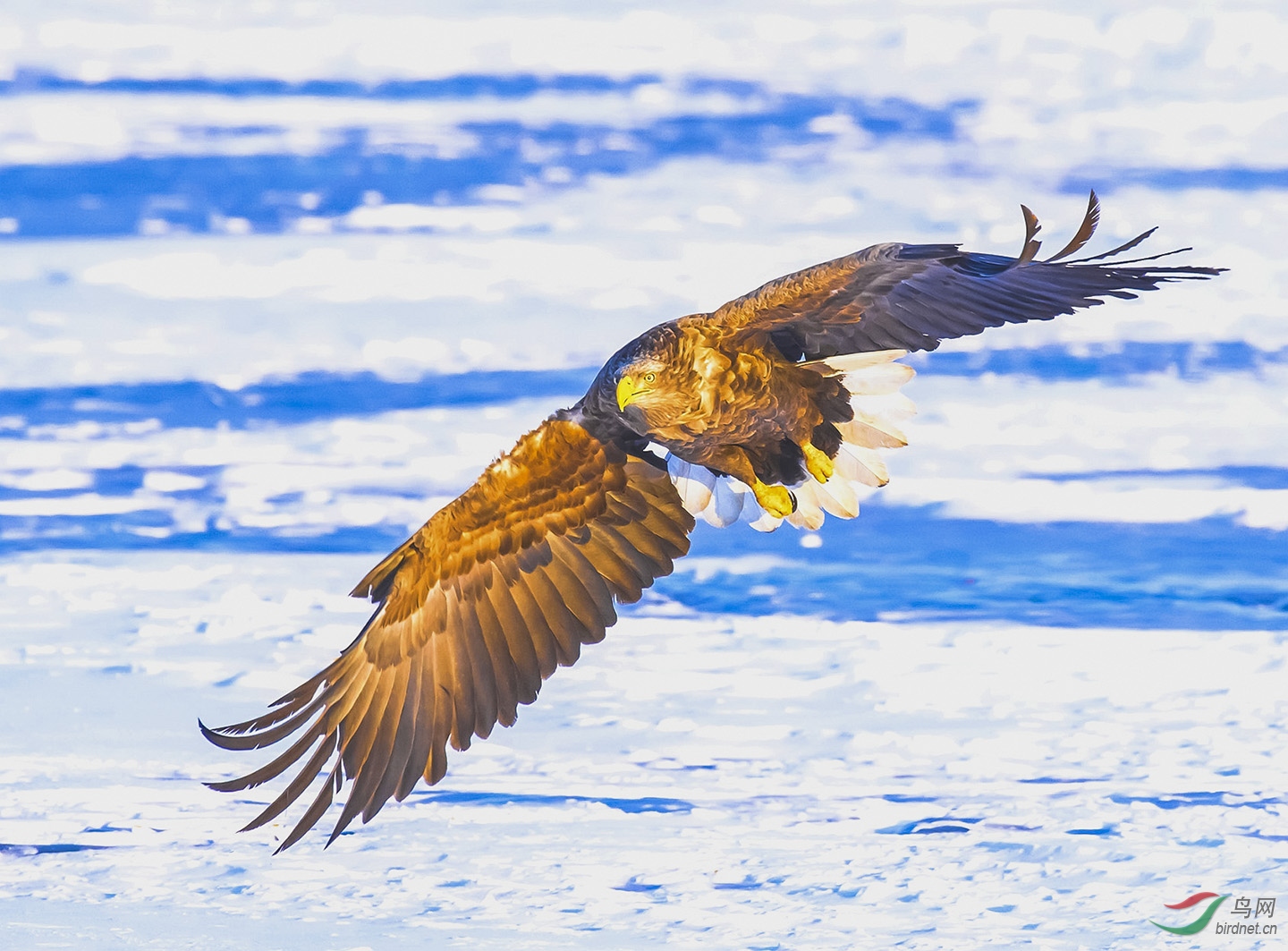 ��β����չ�Ứ---�����������