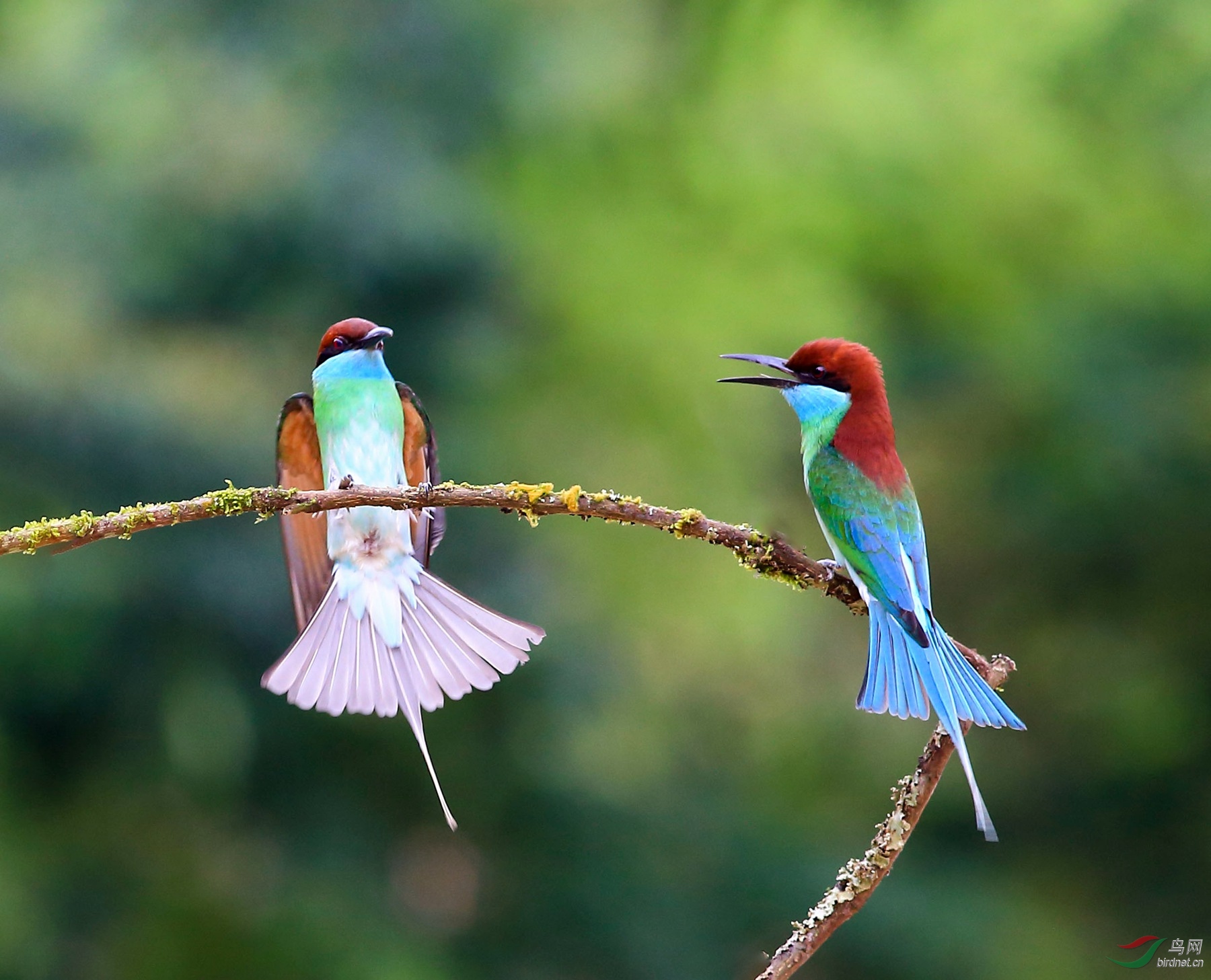 2019-06-22 16-01-01 (4).JPG