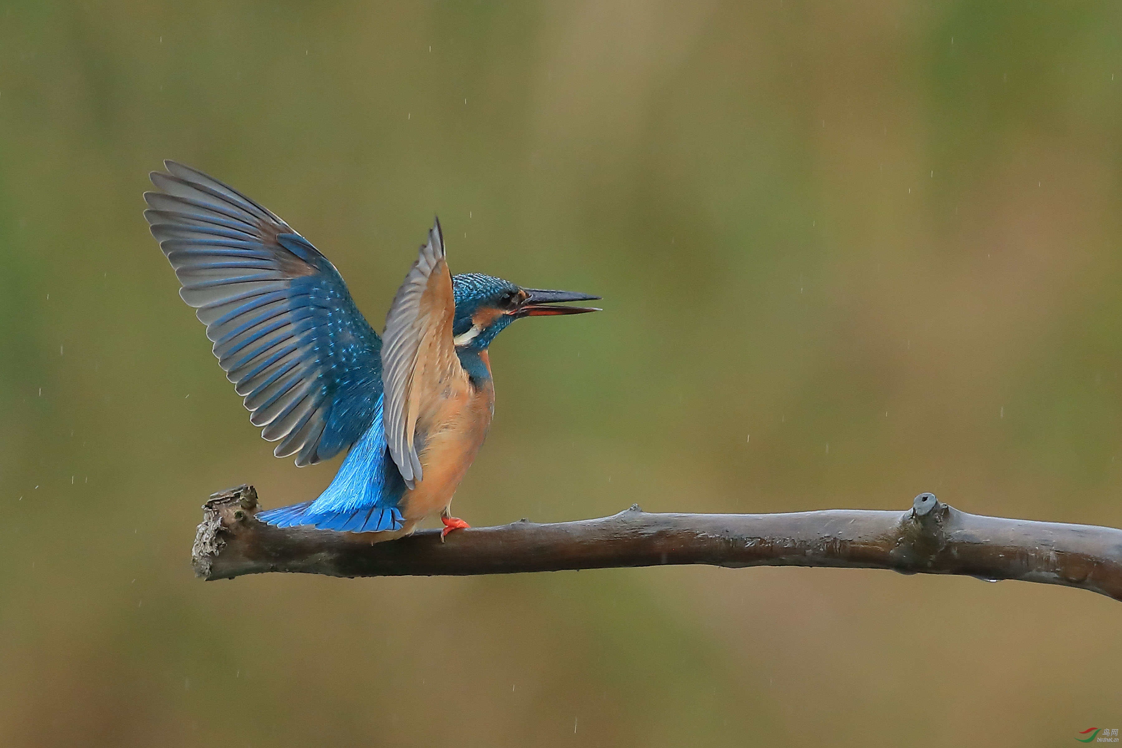 С������