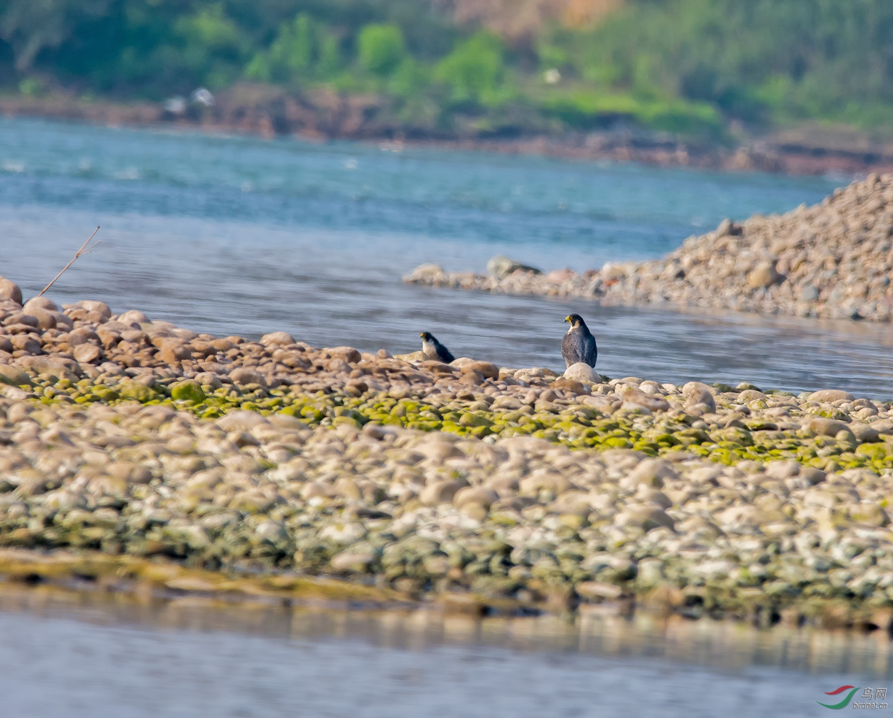 DSC_1575.jpg