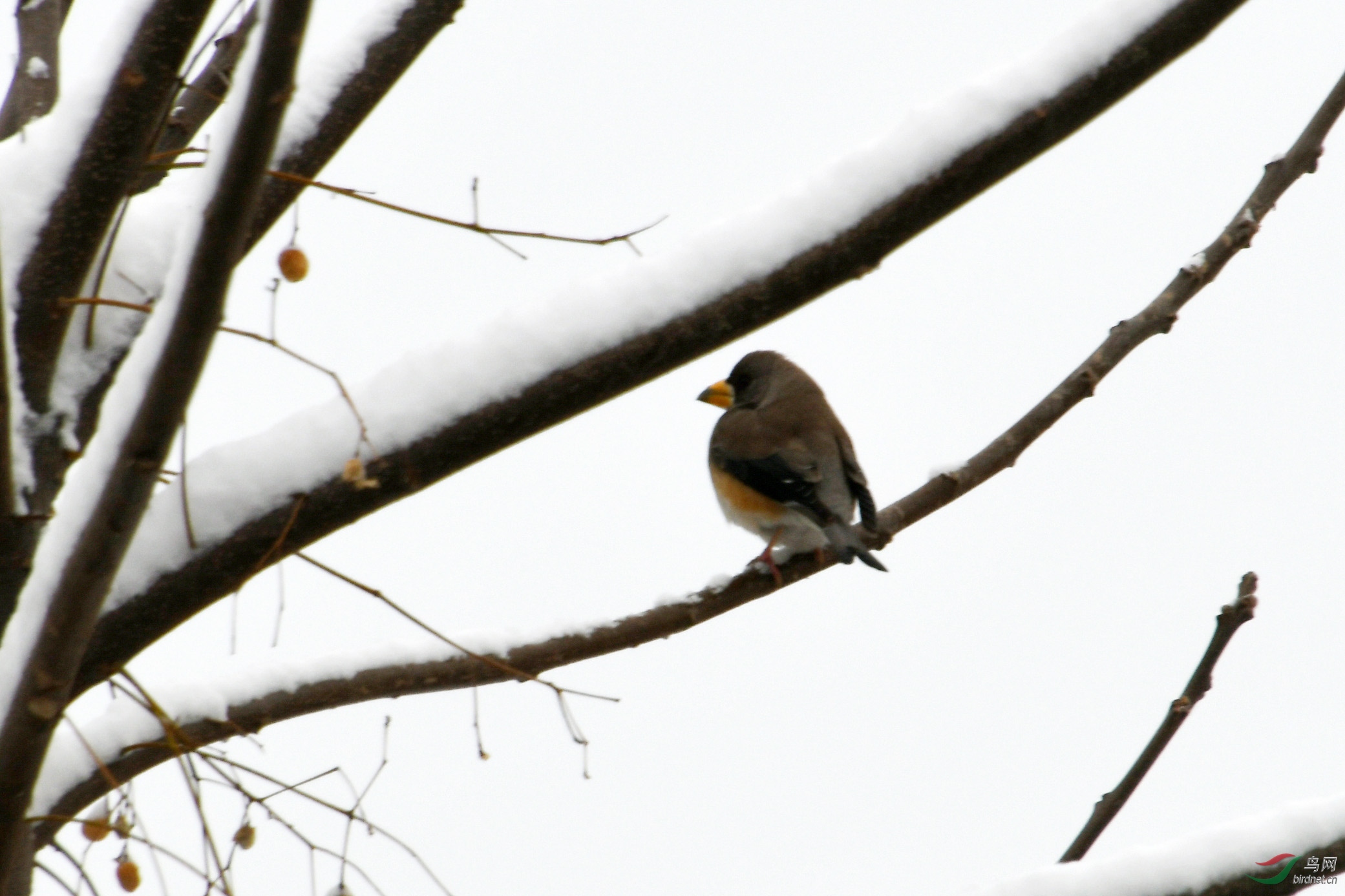 D50_5402.jpg