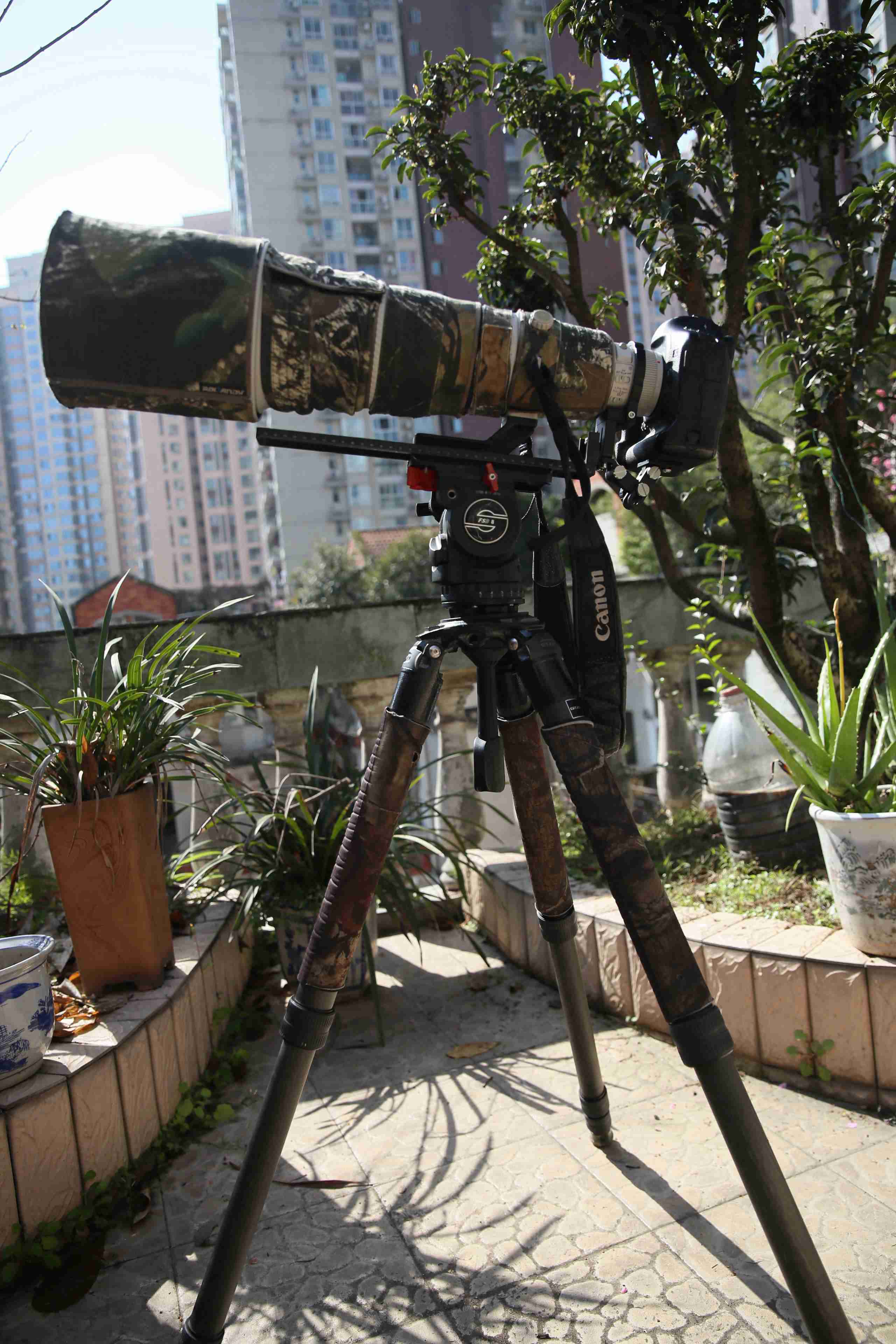 �����ü���1DX 640ISII ����5542LSɳȸFSB8T ���㱦���ڰ��ȸ���