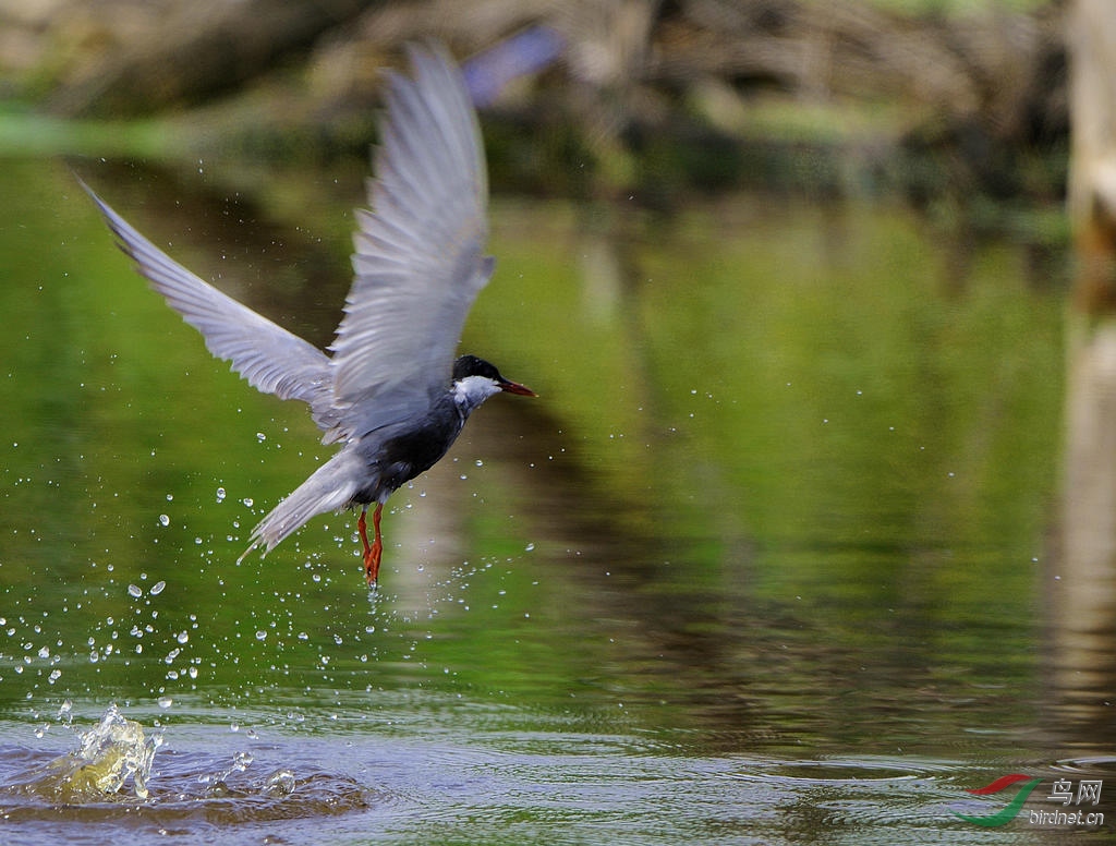 DSC_0859  33.jpg