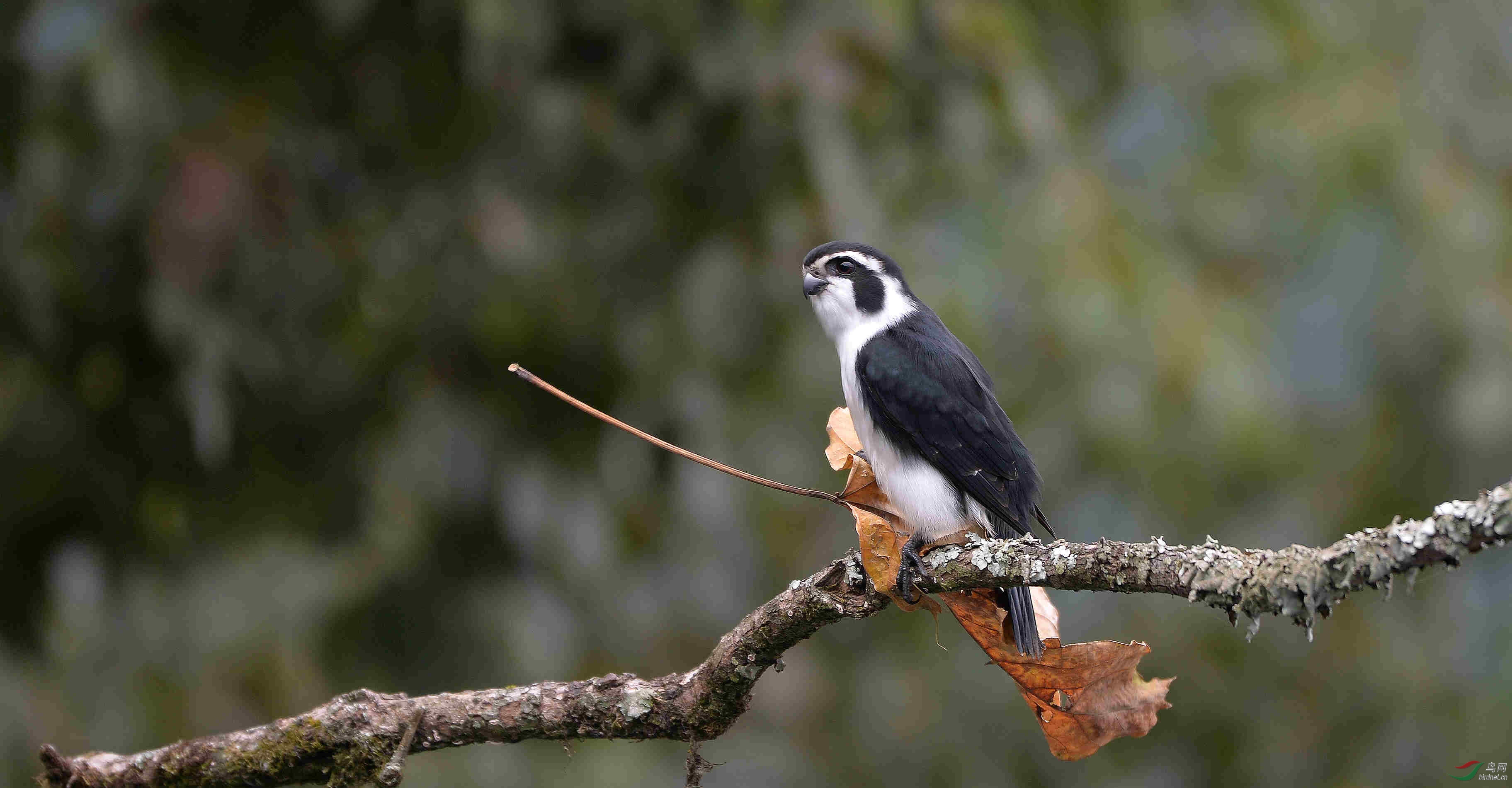 ʱ��׼����