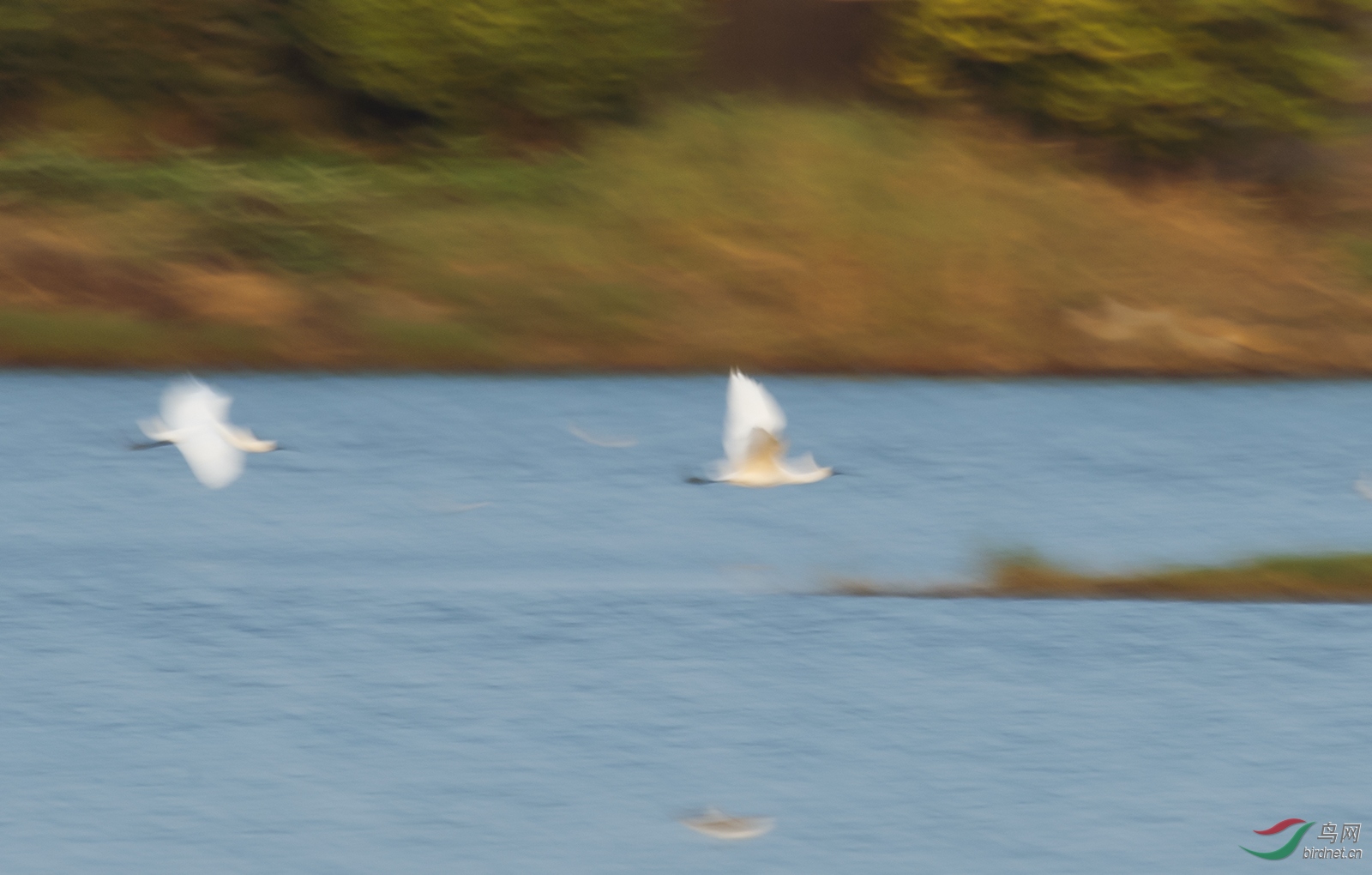 DSC_1810.jpg