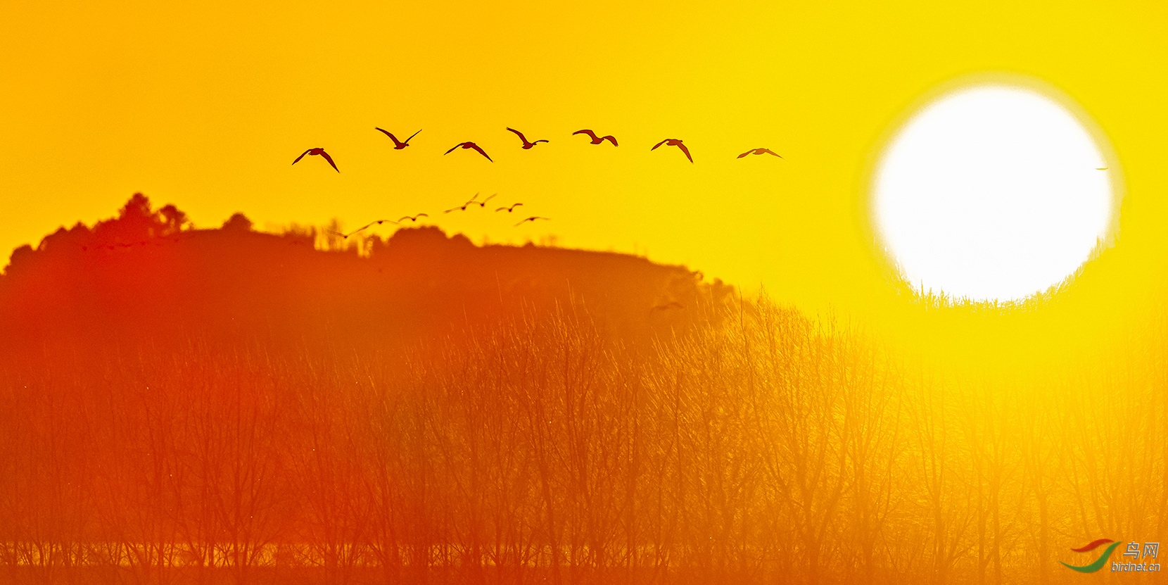 迎着朝阳我相信明天会更好