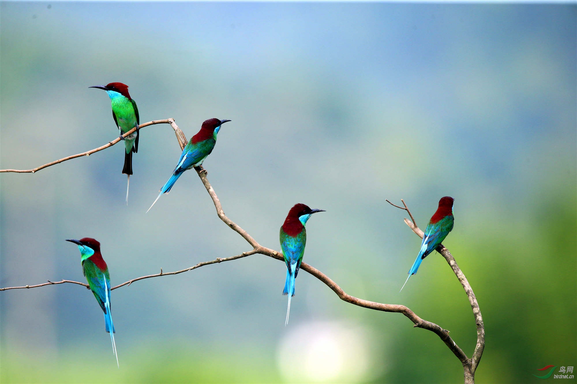 H46R6444_����_���� (2).jpg