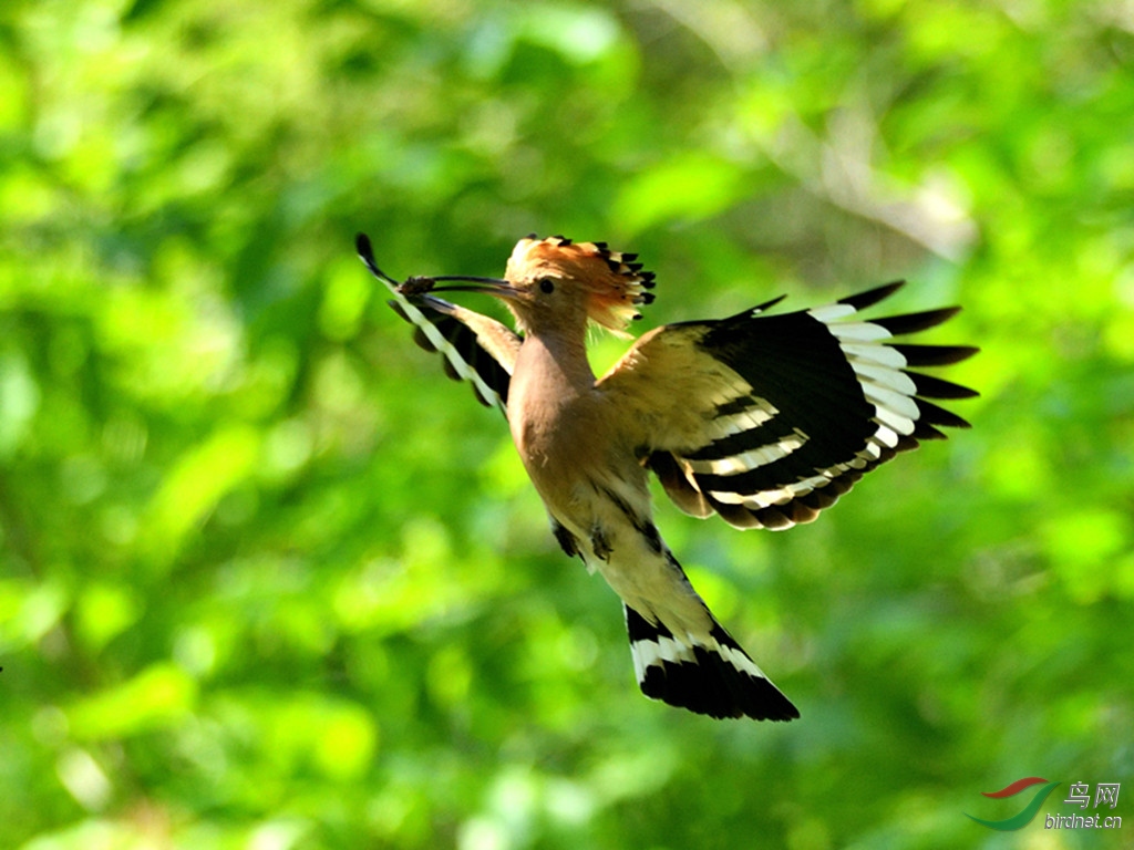 DSC_4840_00001_00001_����.jpg
