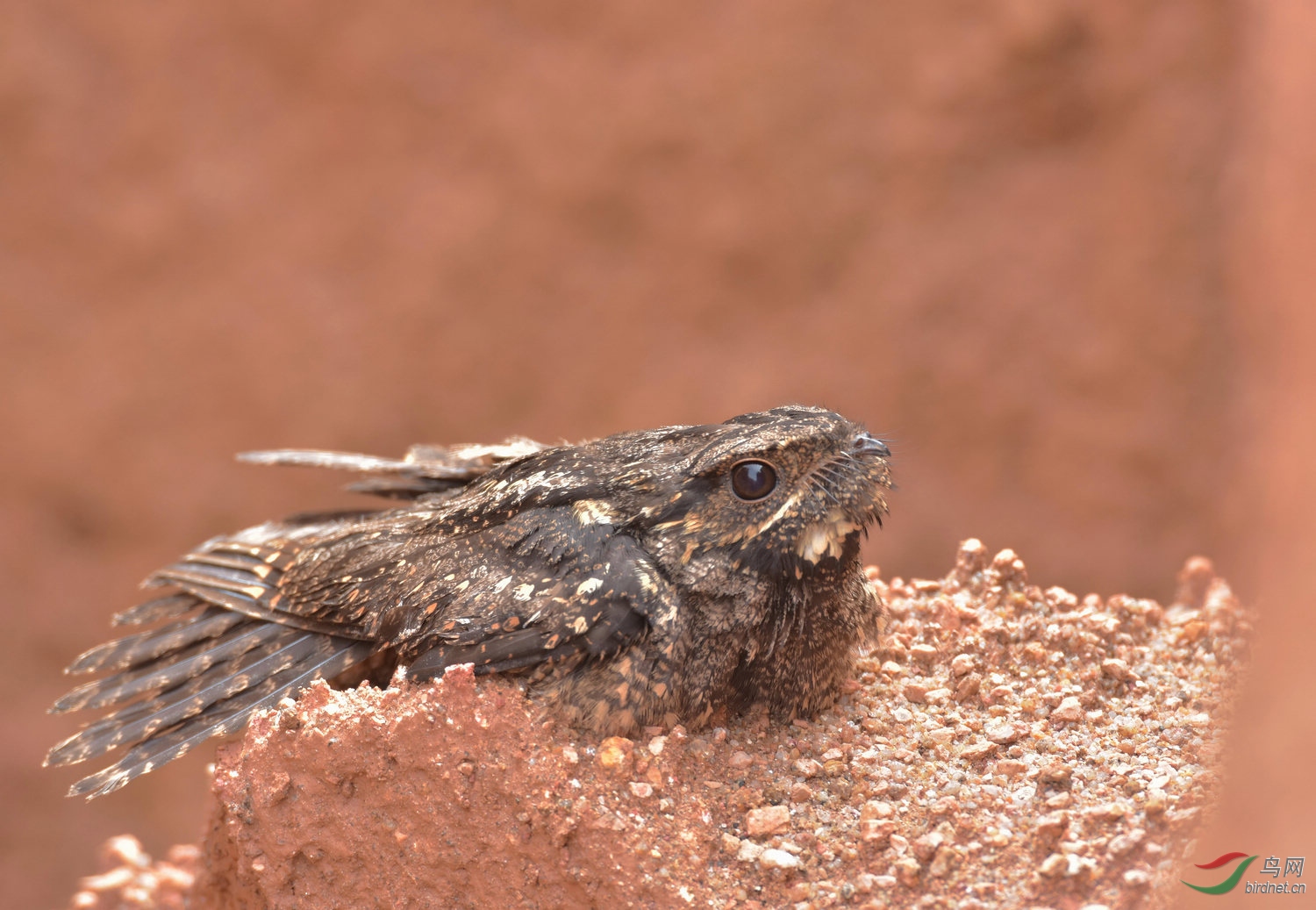 D72_5587.jpg