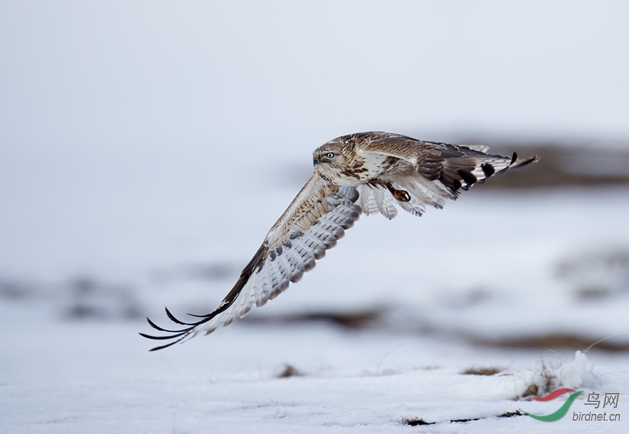 Photo taken on 2015-11-15 07-14-18.jpg