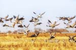 1 (22).JPG