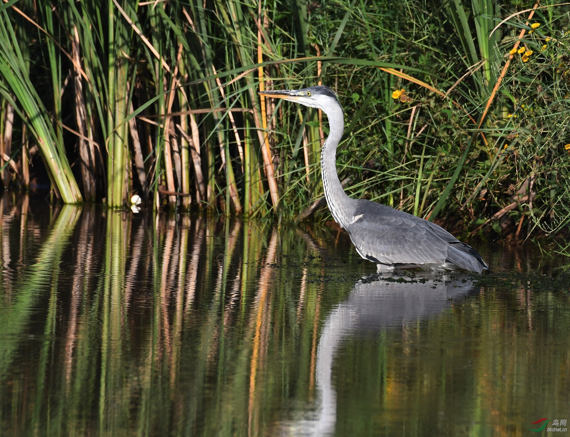 ������Ӱ 036����.jpg