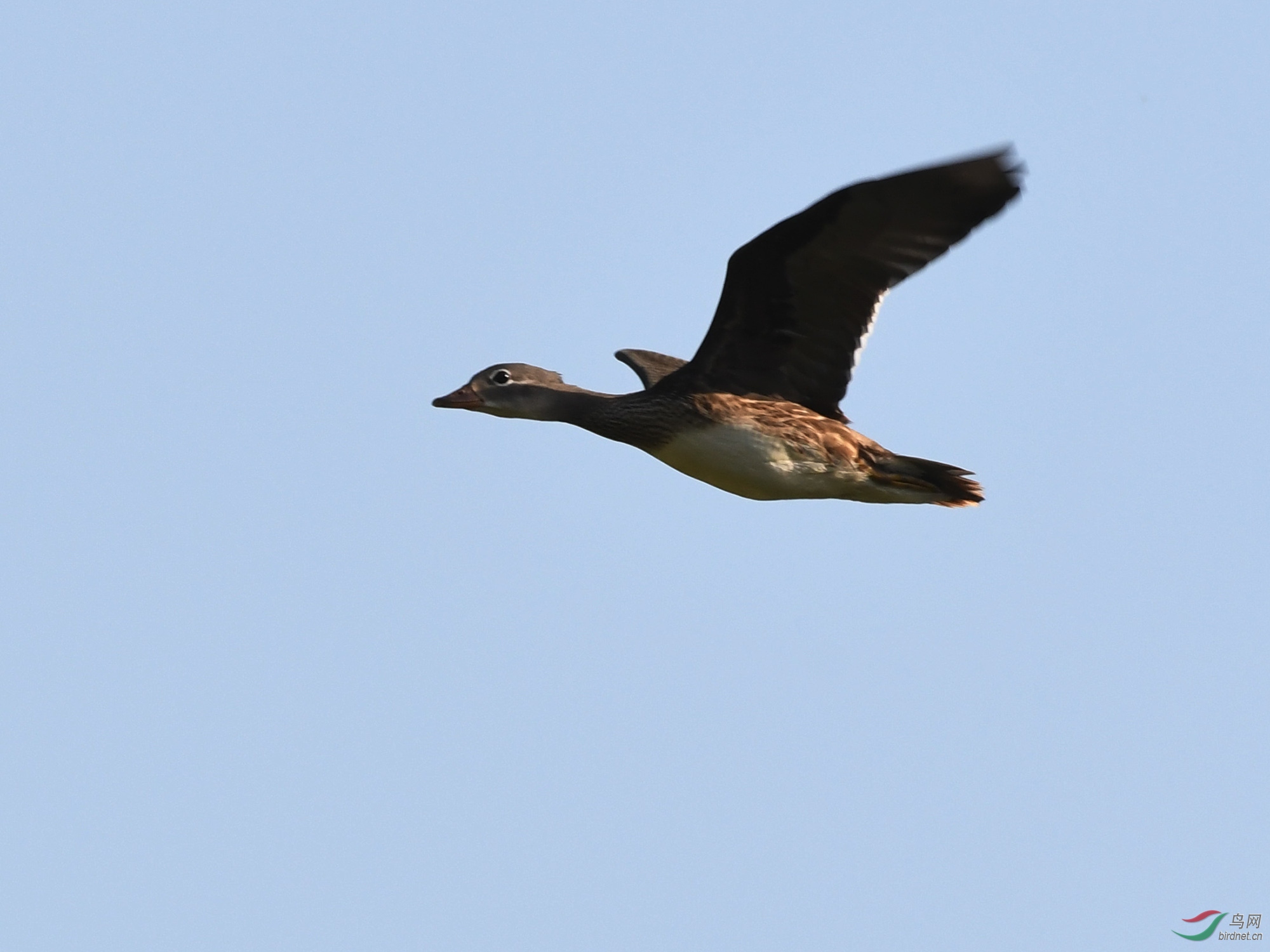 ������Ӱ 053����.jpg