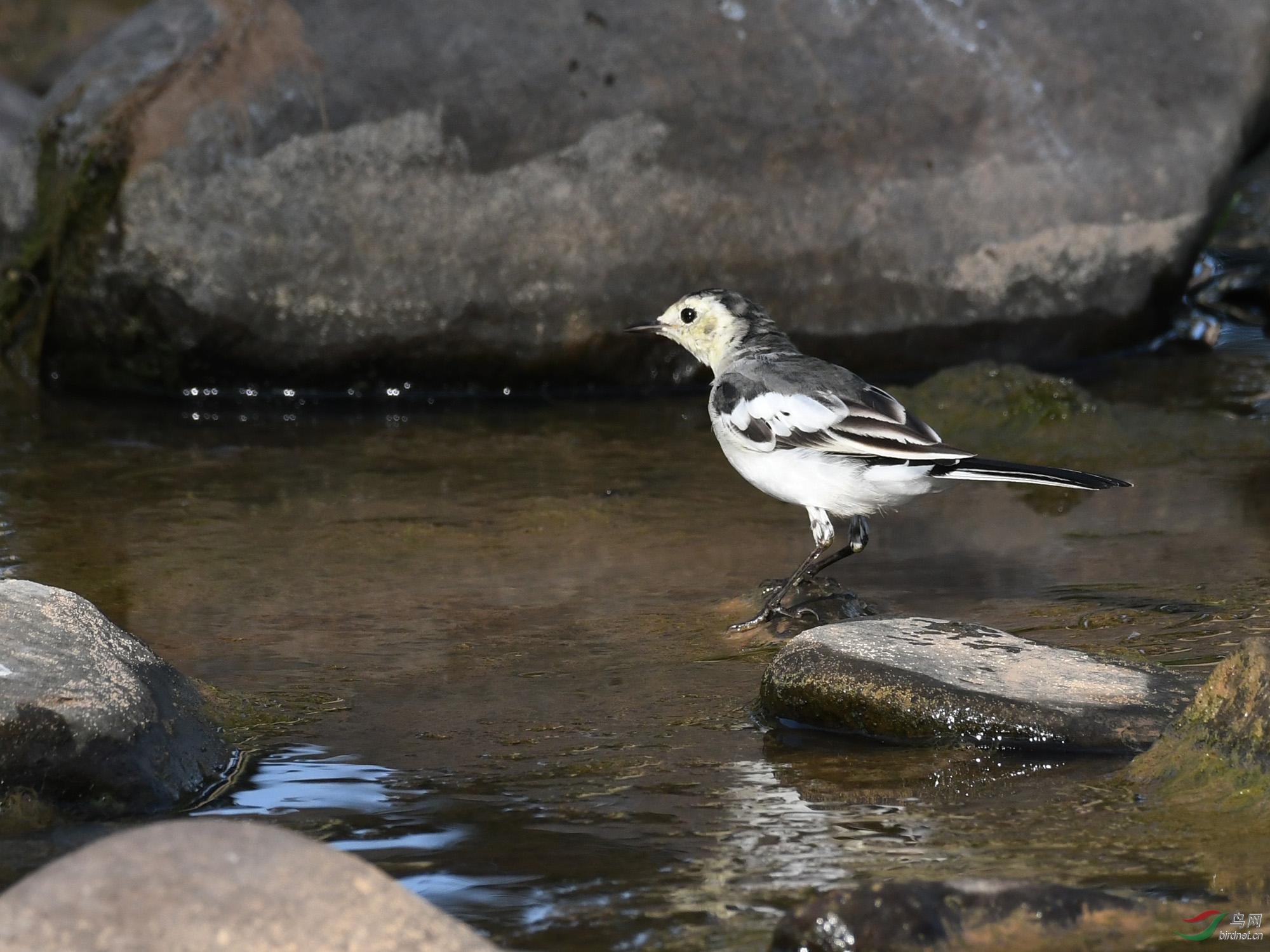 ������Ӱ 166����.jpg