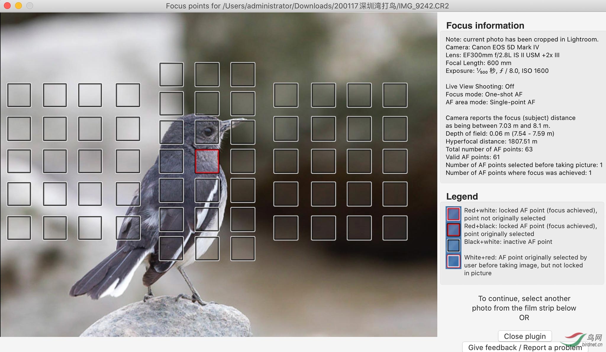Show Focus Points.jpg