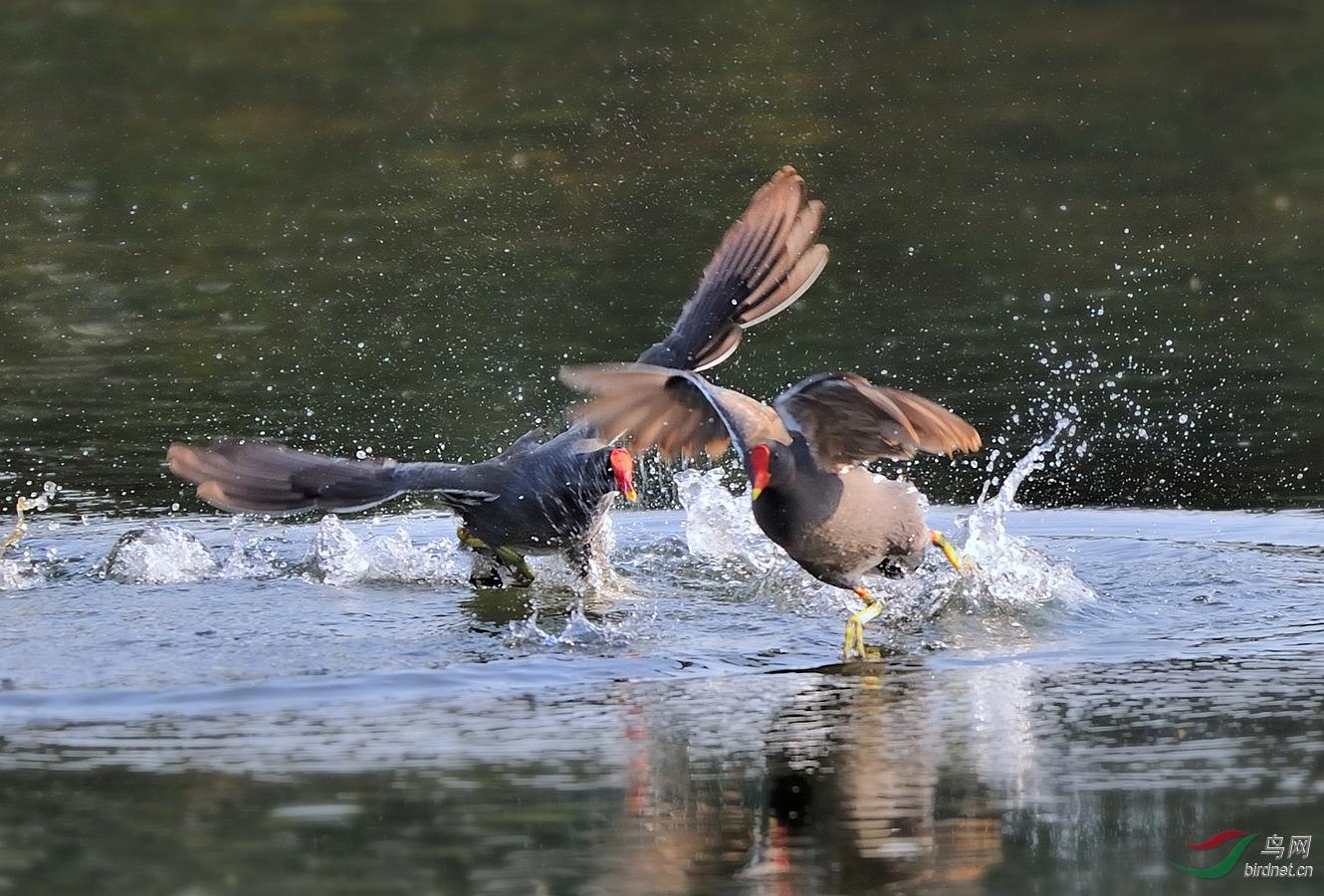 DSC_5390.jpga.jpg