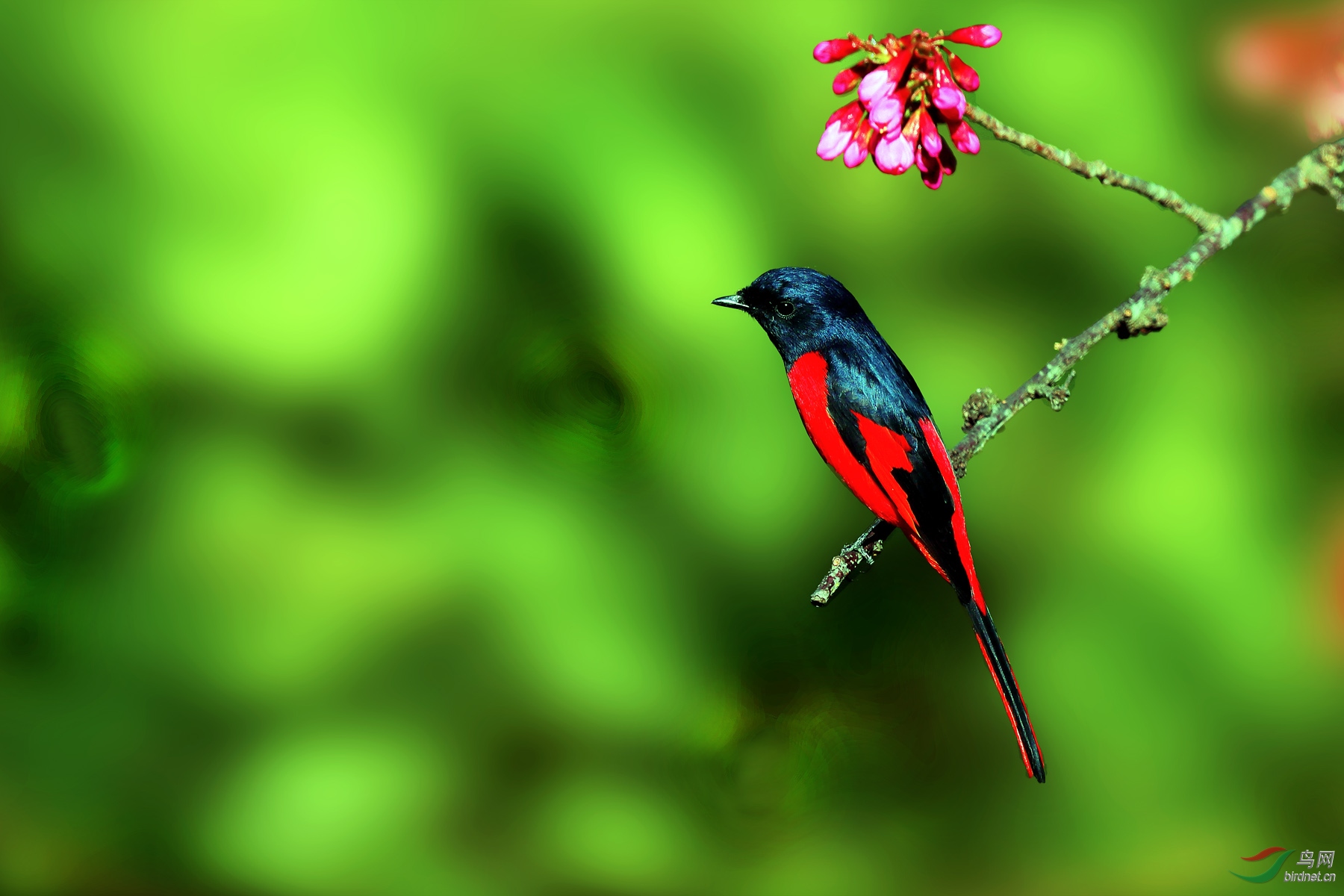 ���ɽ���� (2).jpg