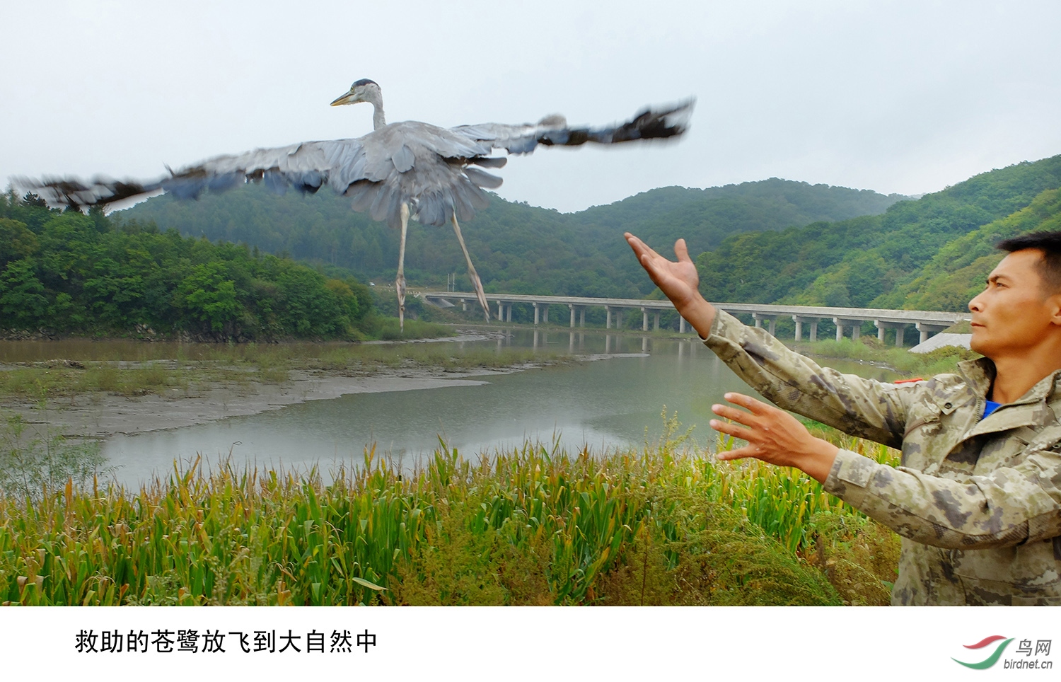 ���������µĲ��طŷ�