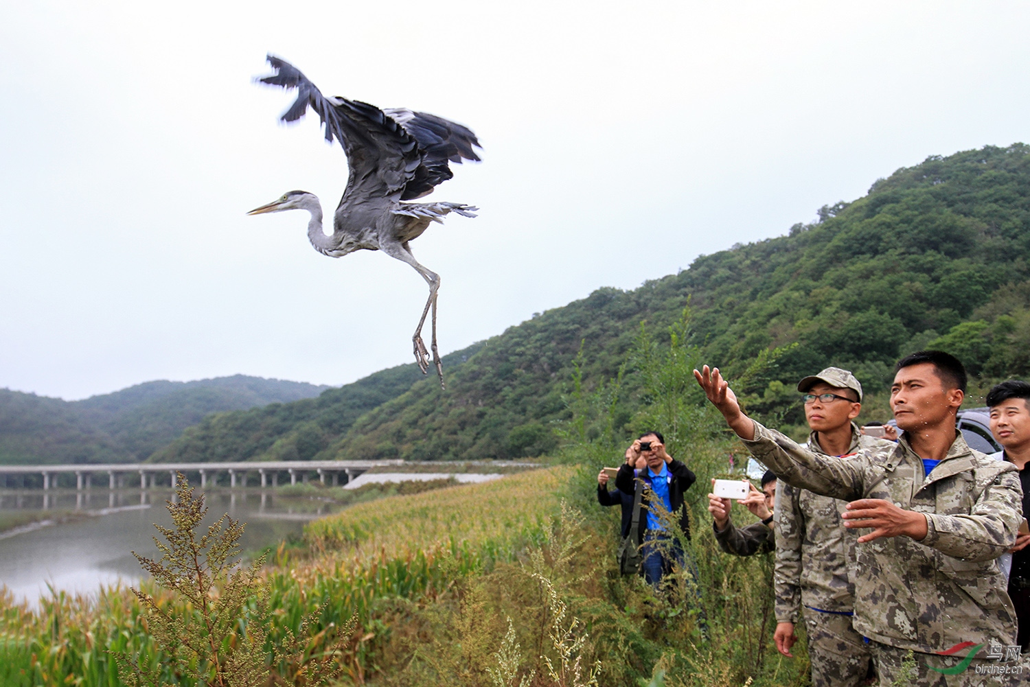 ������С���س���󱻷ŷ�