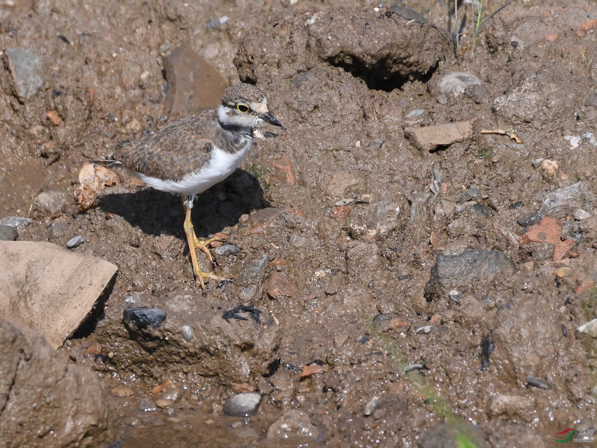 ������Ӱ 1261����.jpg