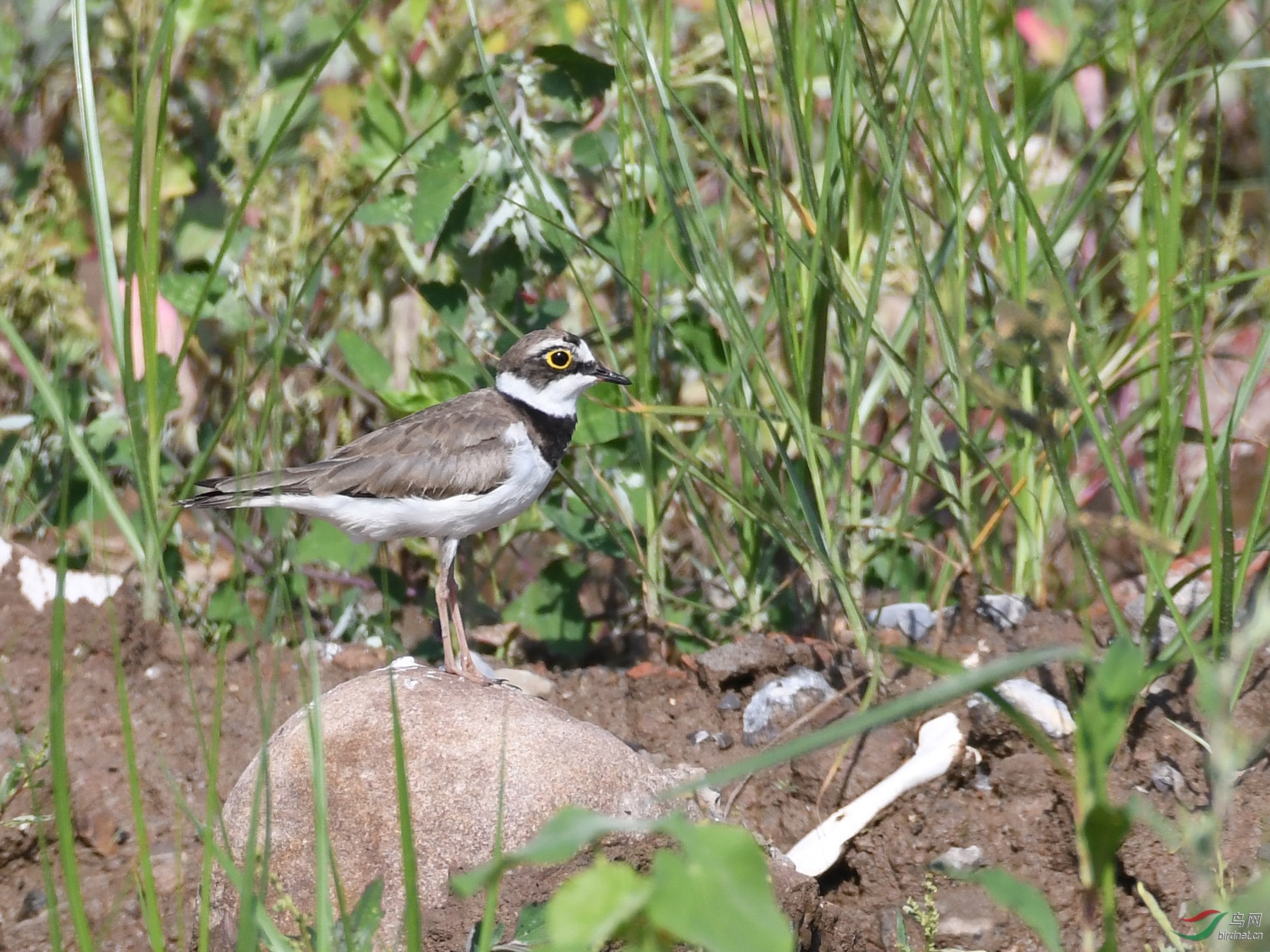 ������Ӱ 1343����.jpg