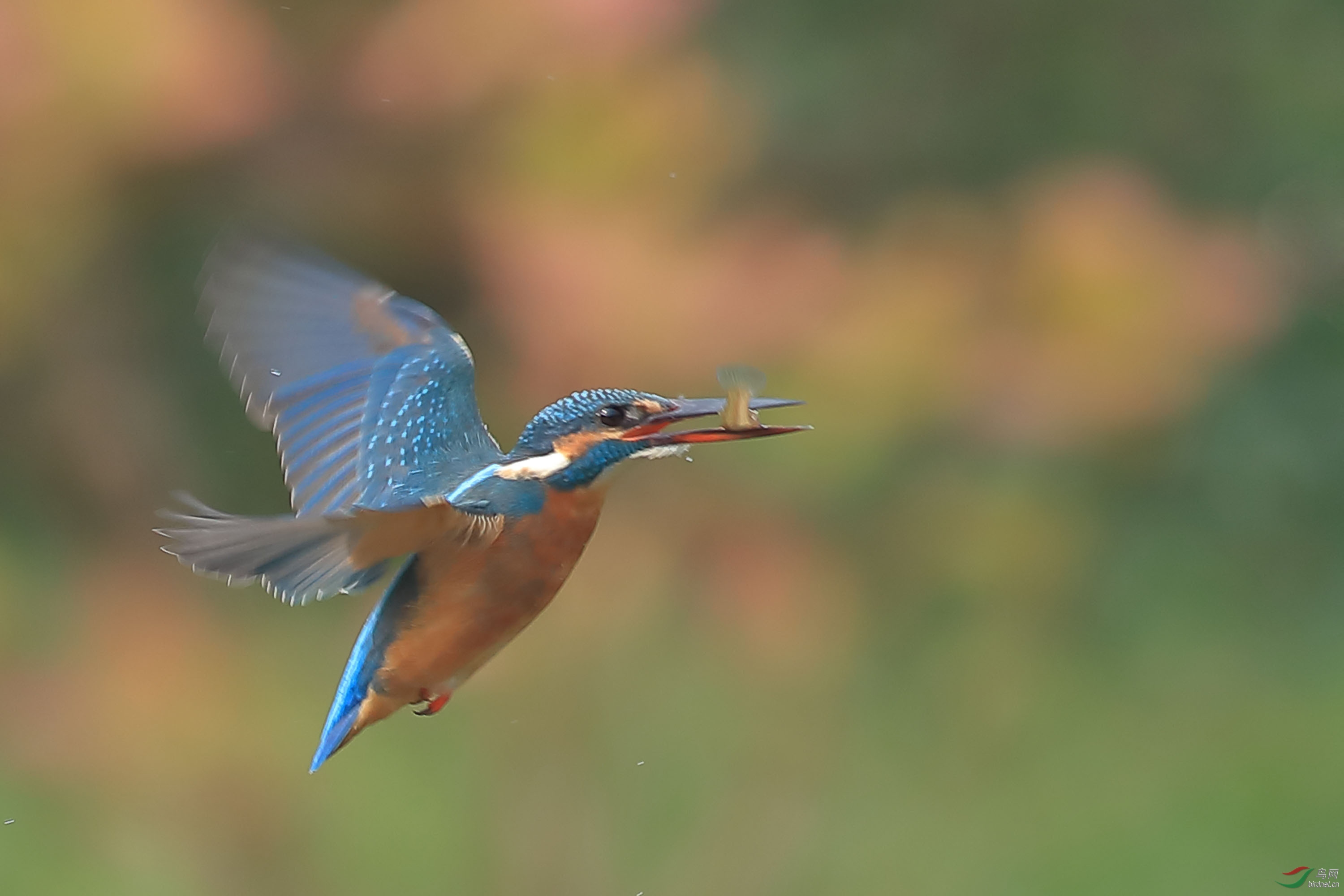 С������