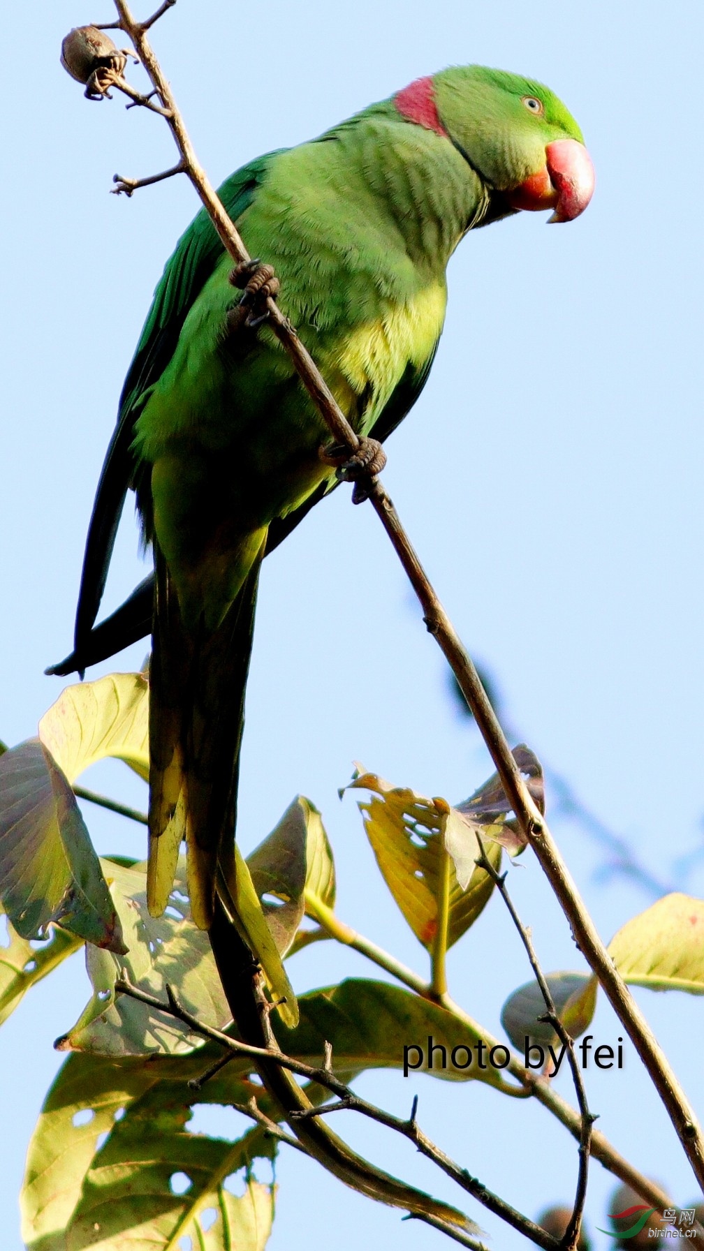 ����Լ10��