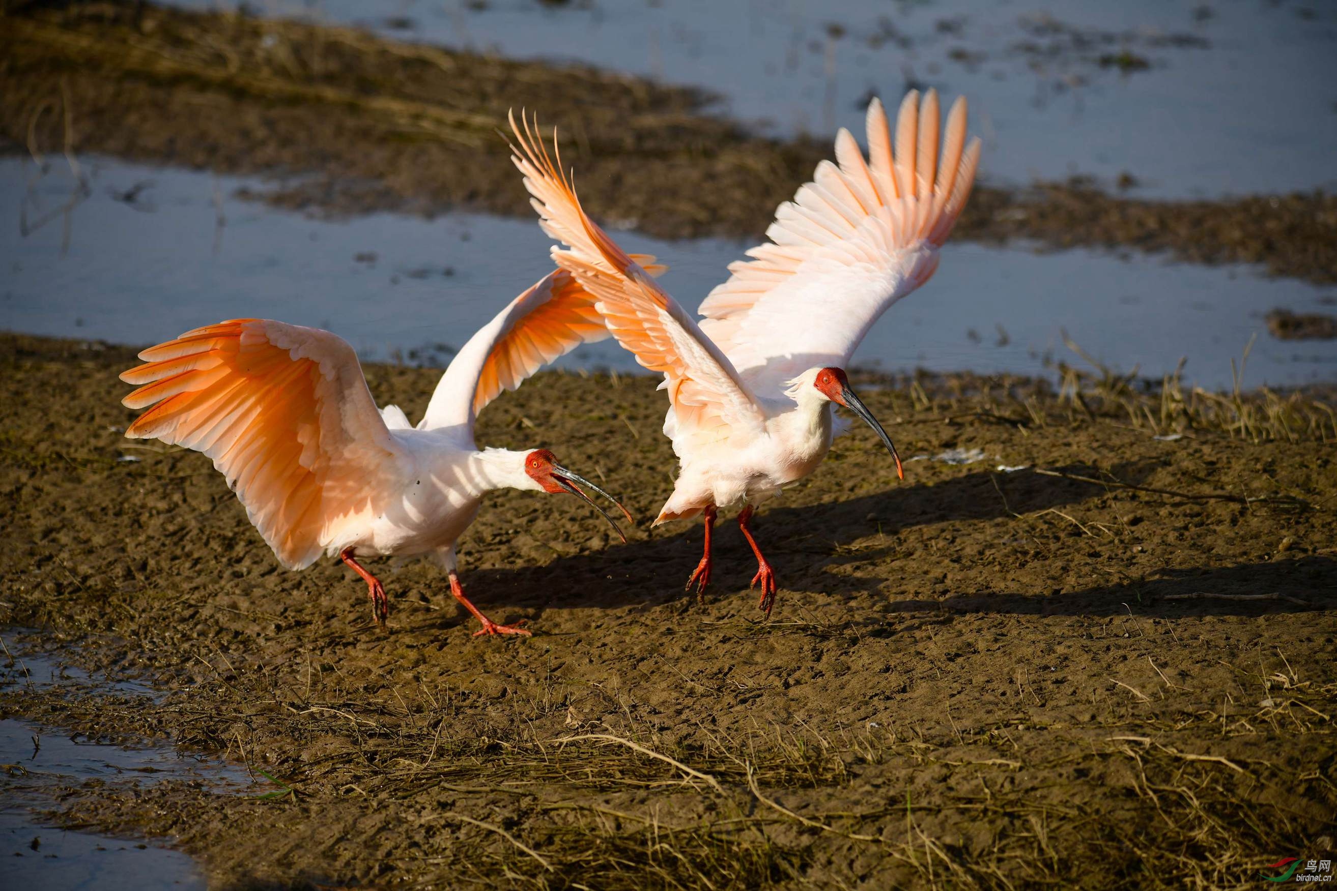 DSC_5227.JPG