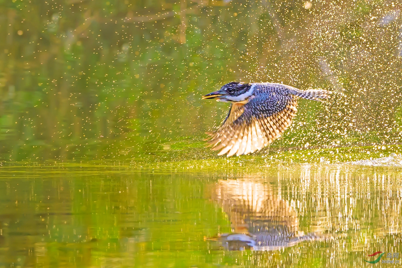 DSC_4053С.jpg