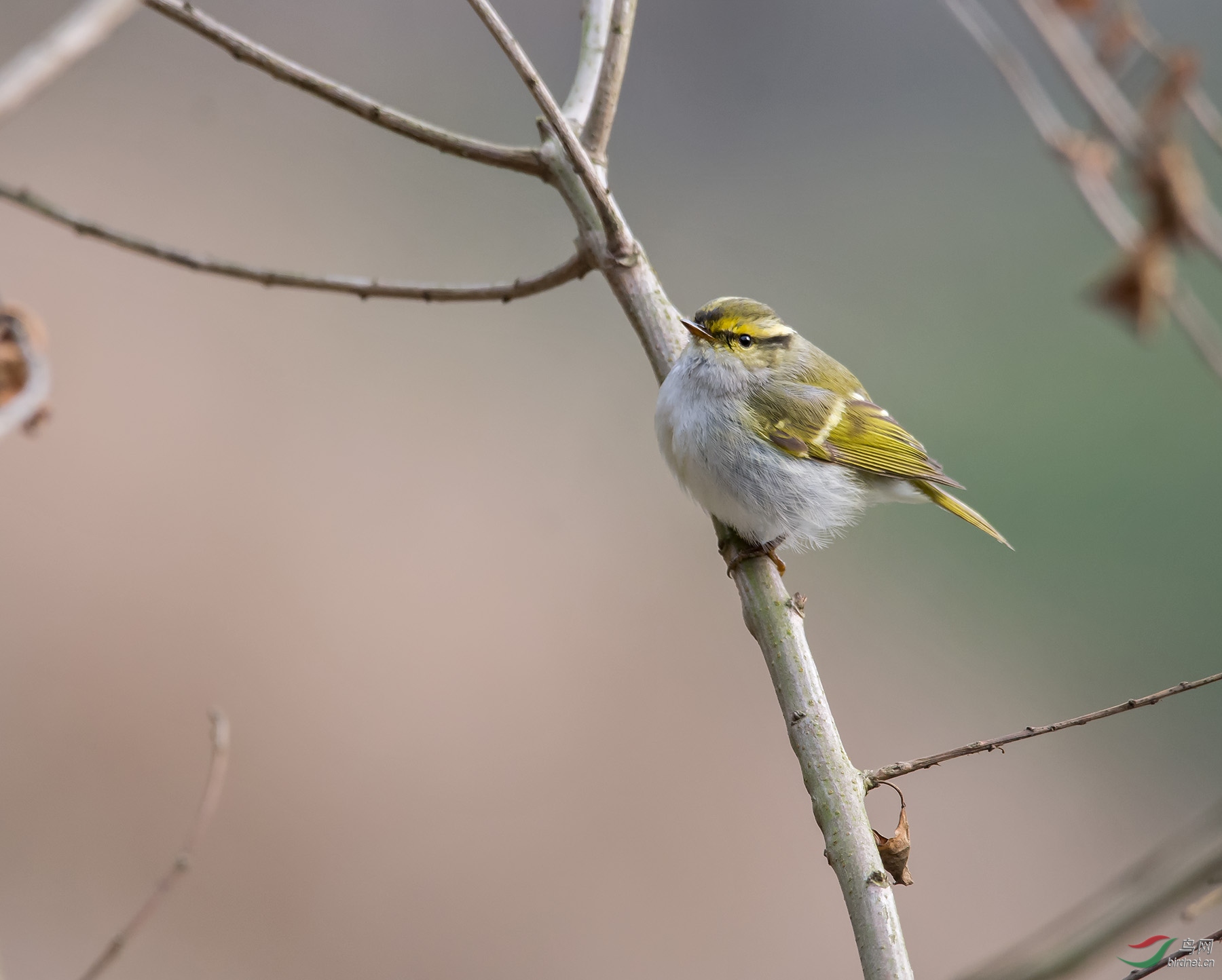DSC_3643.jpg