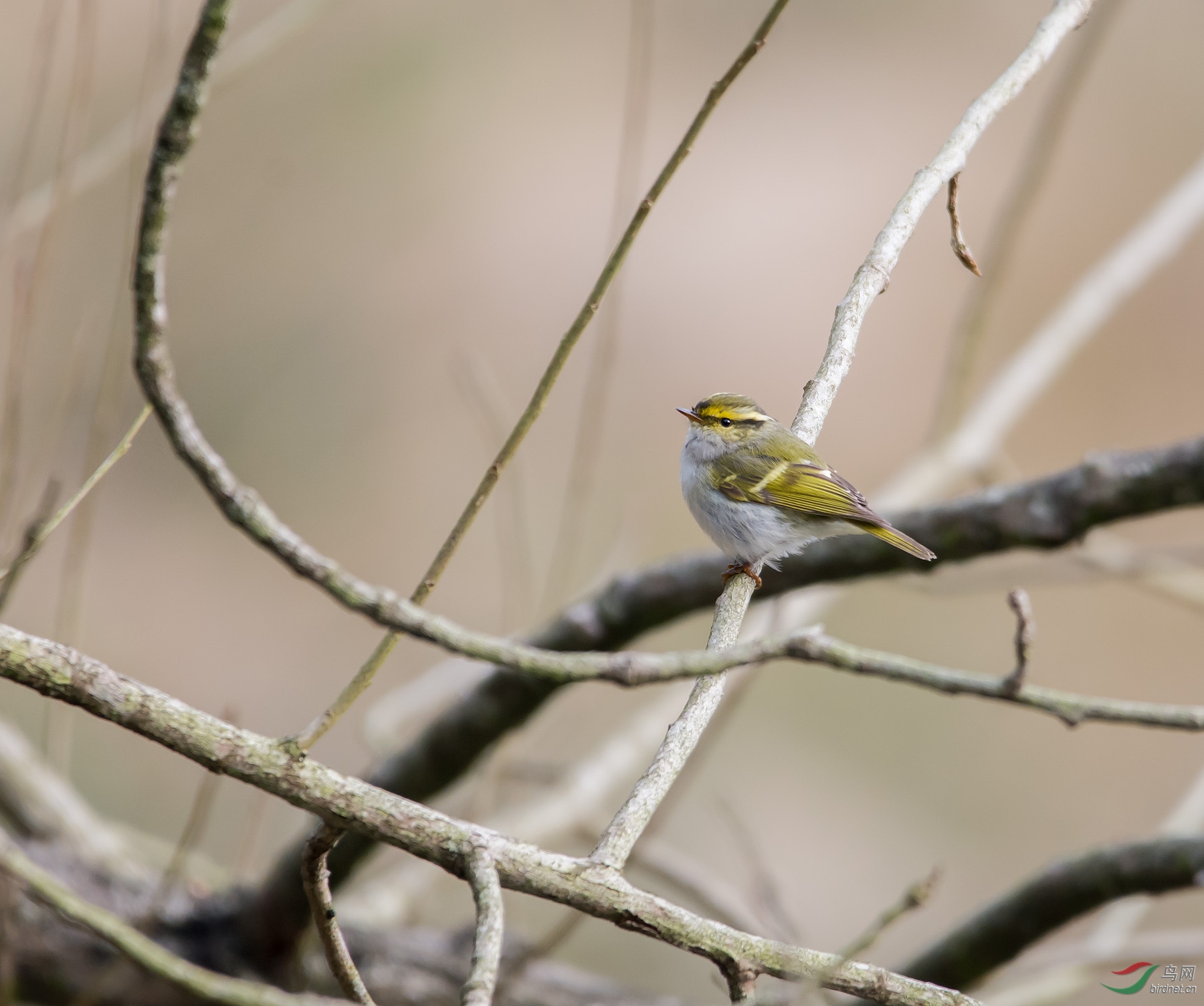 DSC_3648.jpg