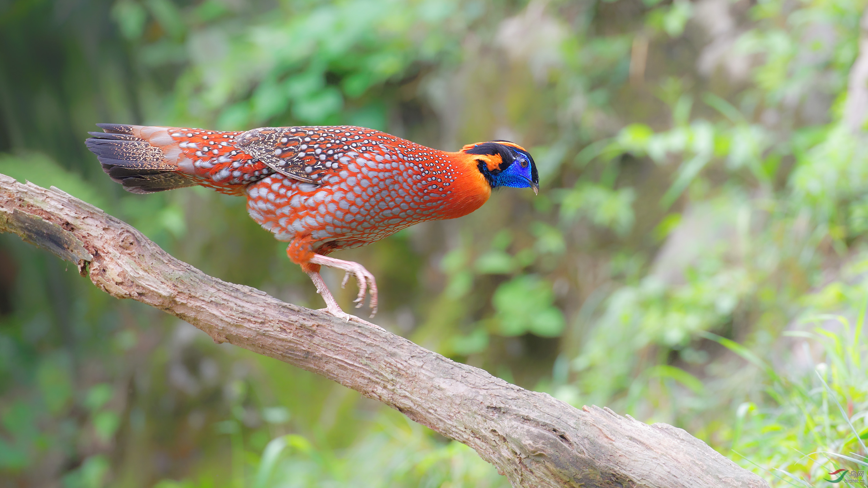 DSC_1749_DxO.jpg