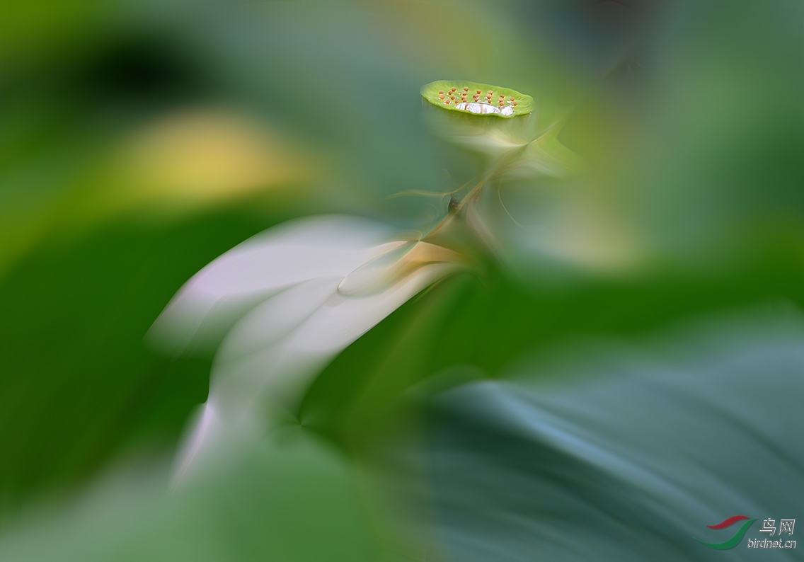 DSC_2590--00.jpg