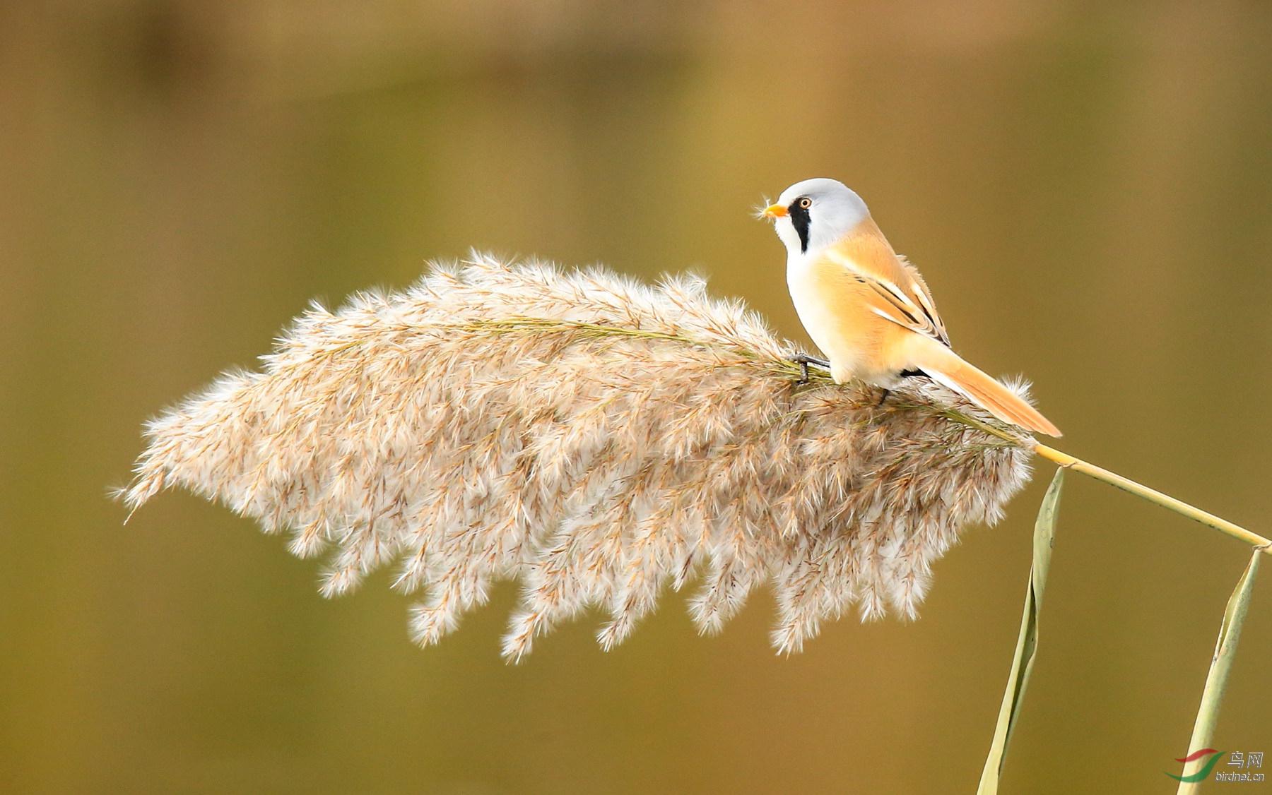 BE7W9074-(1) (1).jpg