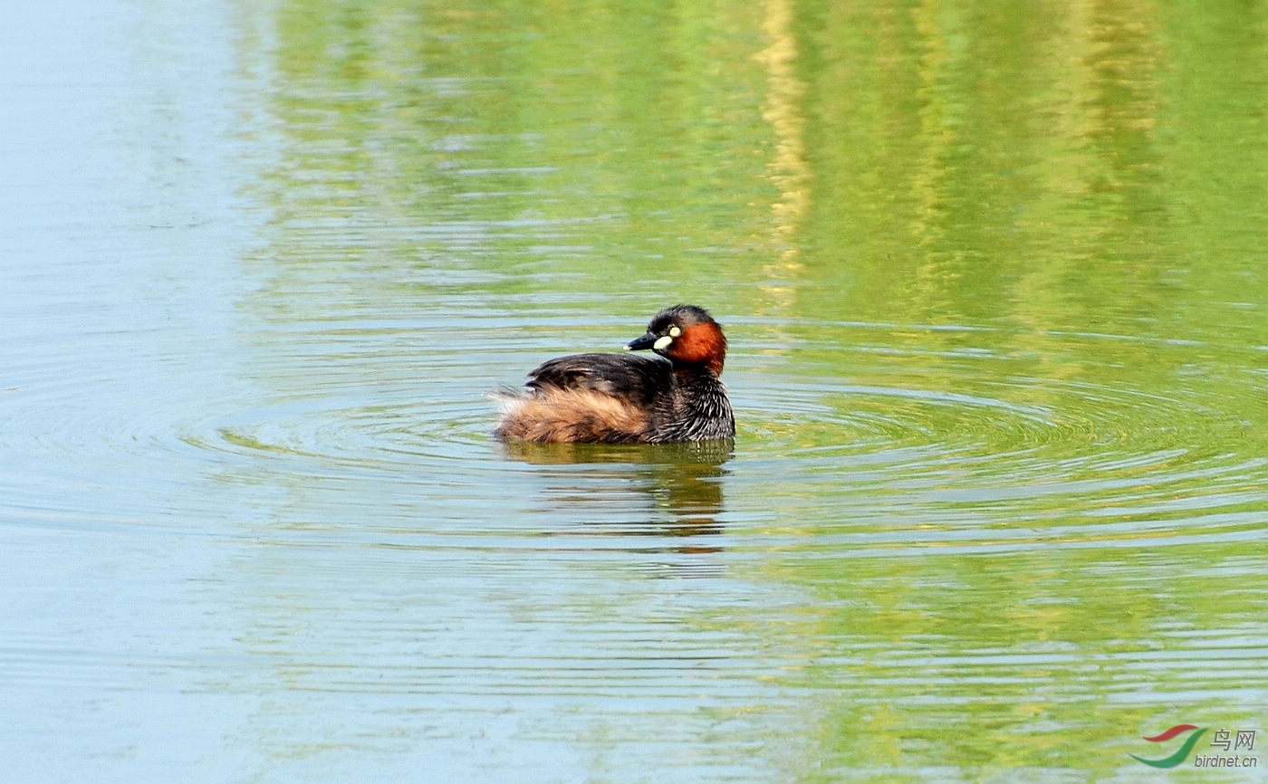 DSC_3977.JPG