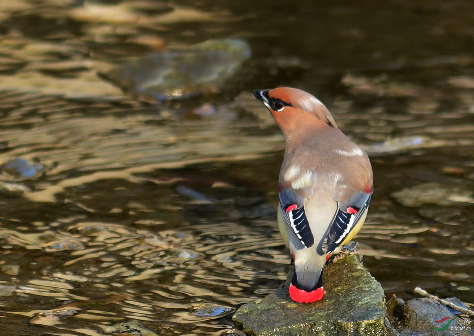 DSC_0129.JPG