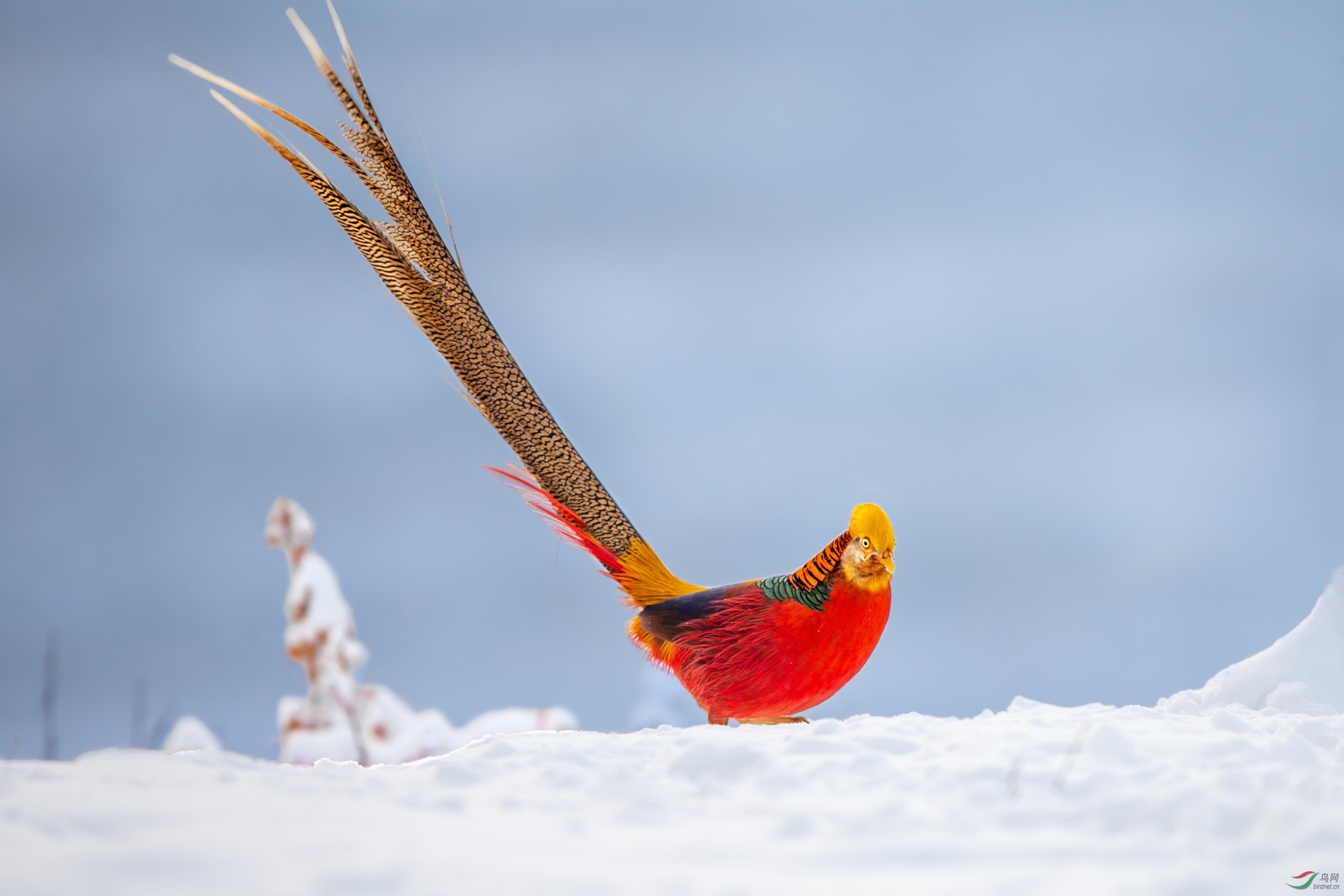 �츹���� (4).JPG