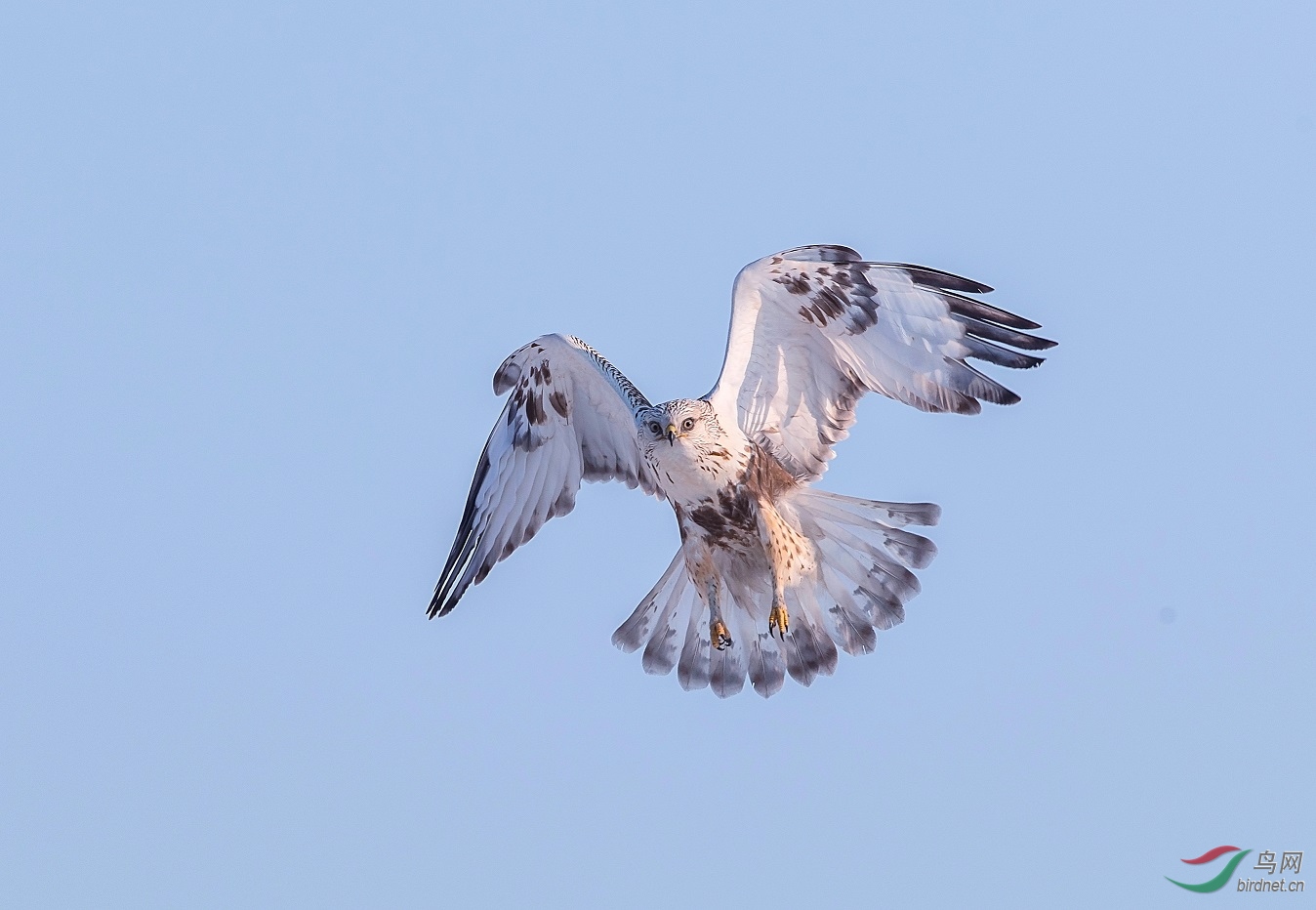 �����ϵ�����