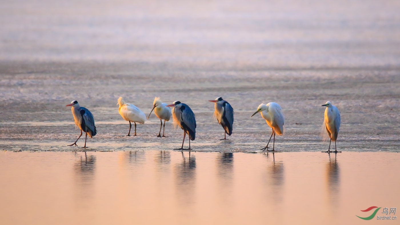 �����ϵĶ���