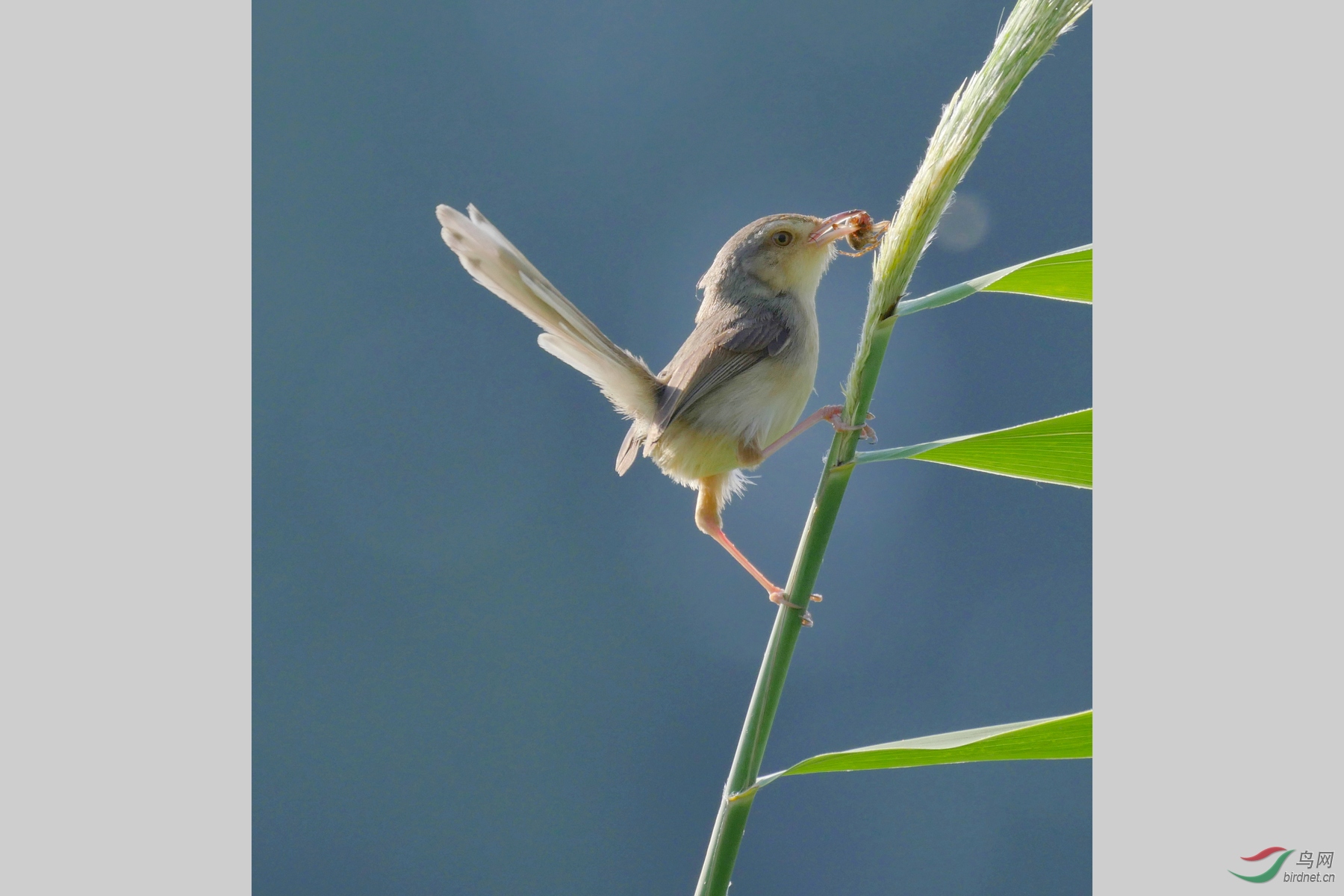 202012������֮��