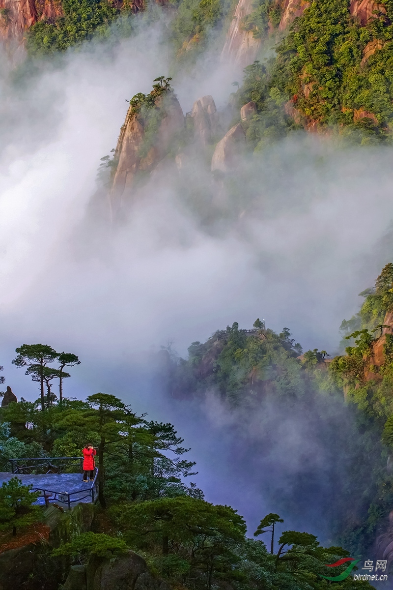 风景这边独好