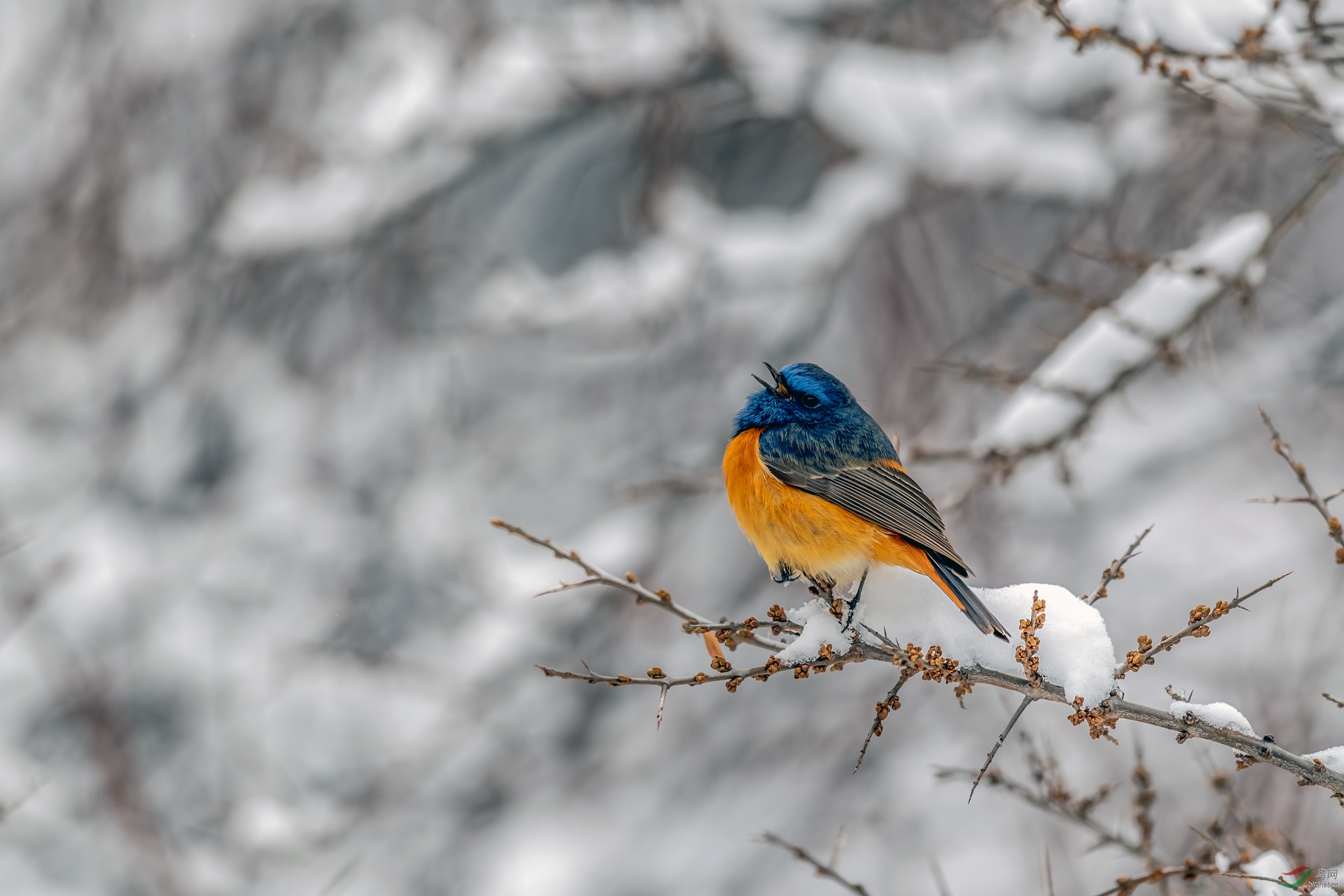 _DSC8886_��ͼ��.jpg