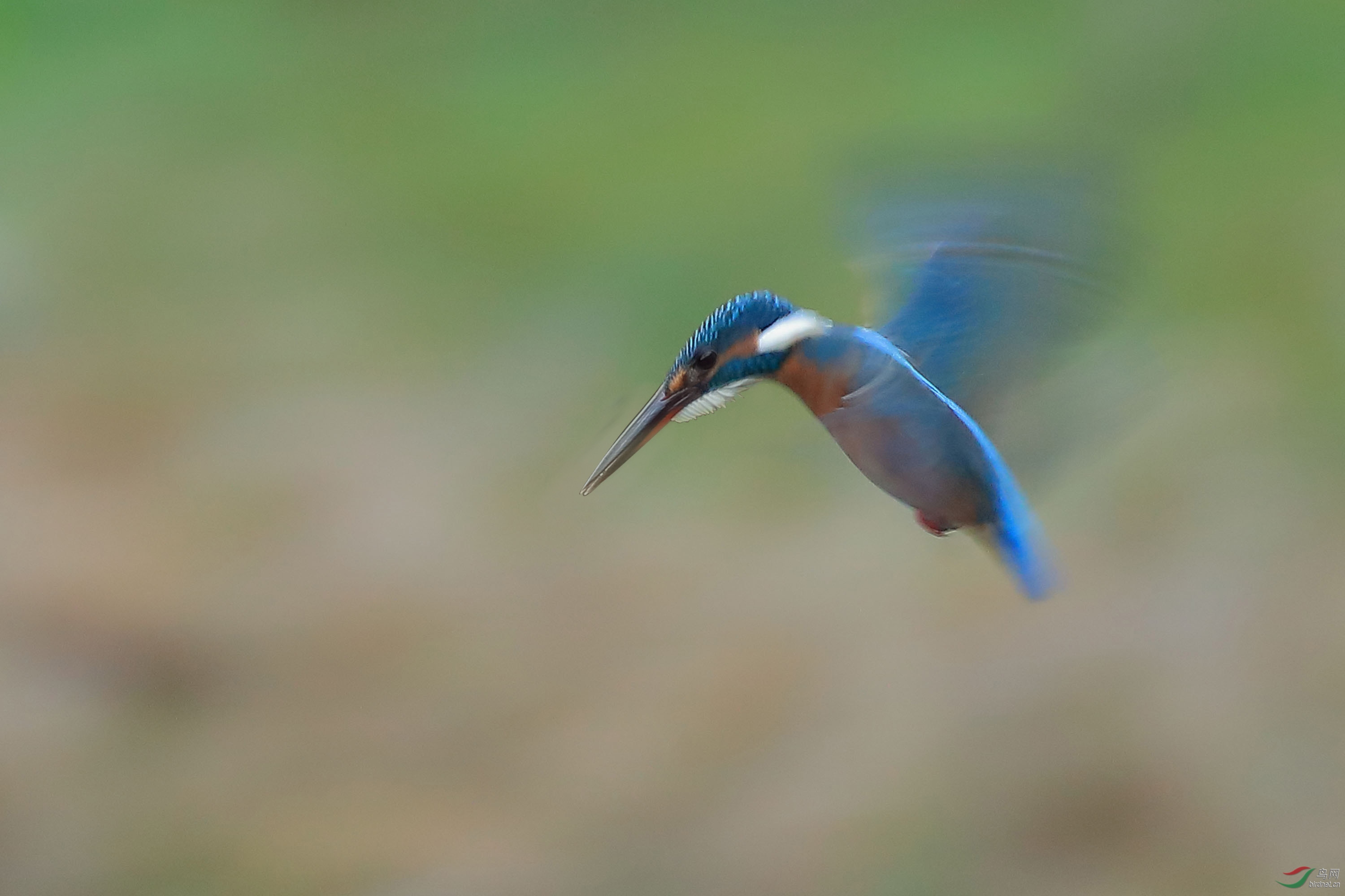 ��ˮ����