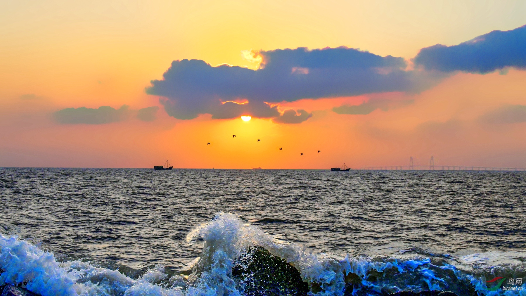 DSC_4723 (6)_����.jpg