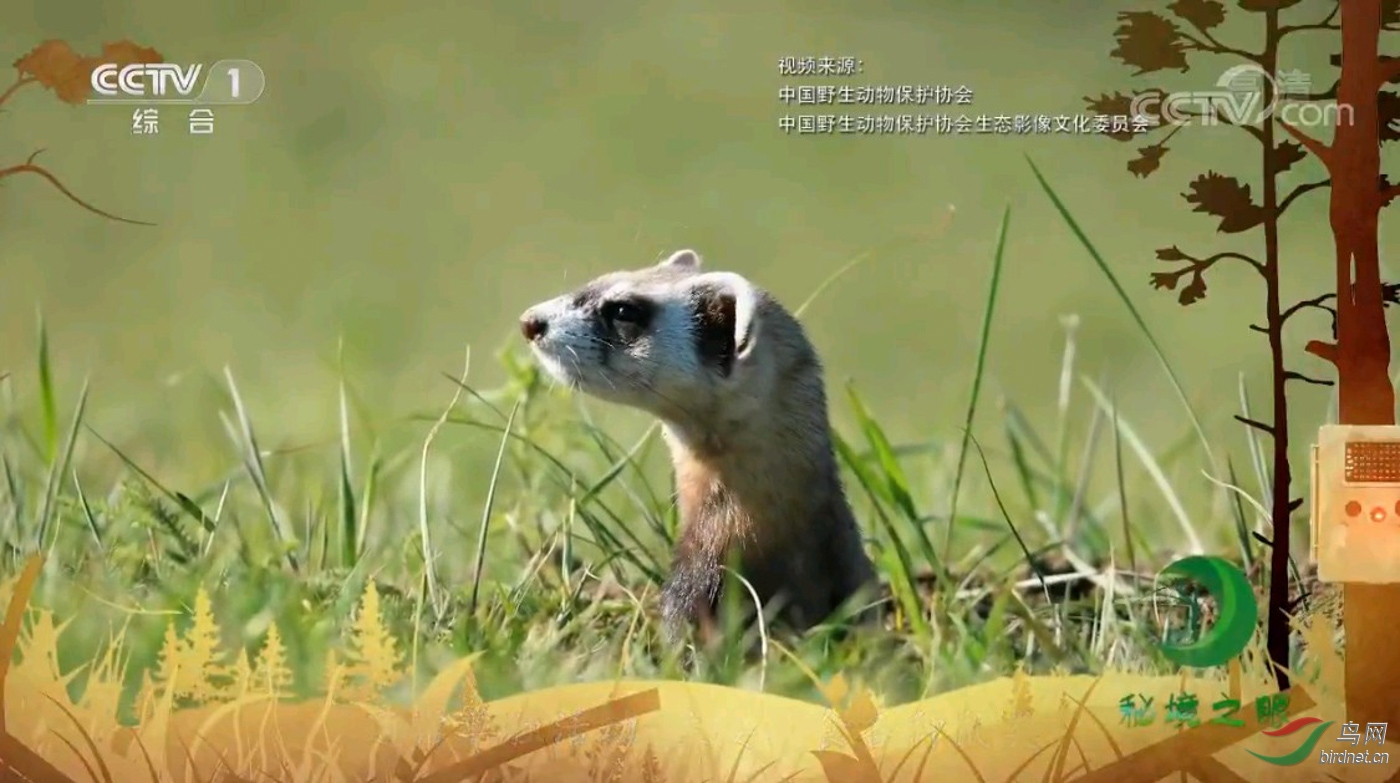 1ec6104d28f25f4b78f1acad8cabfd84.jpg
