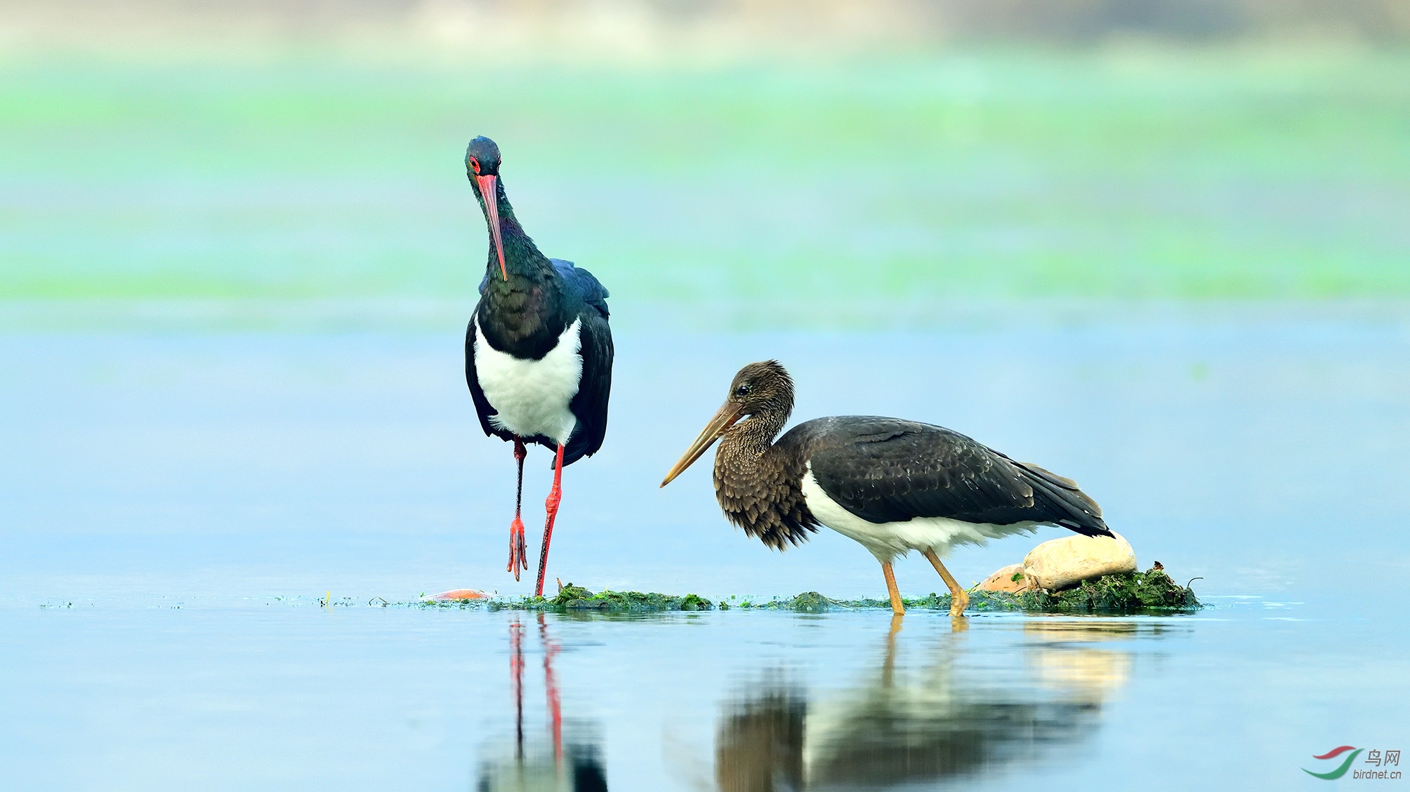 DSC_3363_������ �ϴ�.jpg