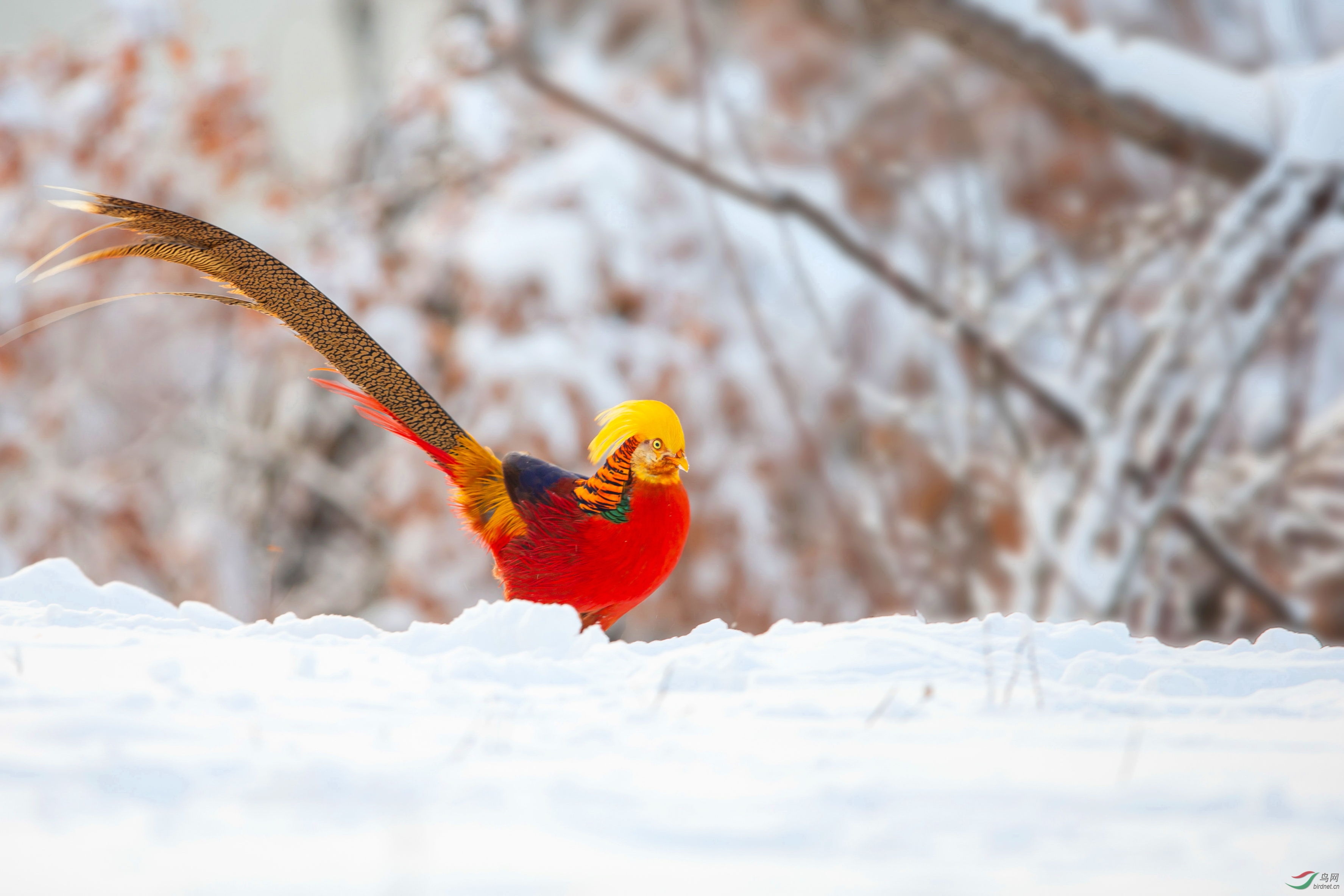 �츹���� (1).JPG