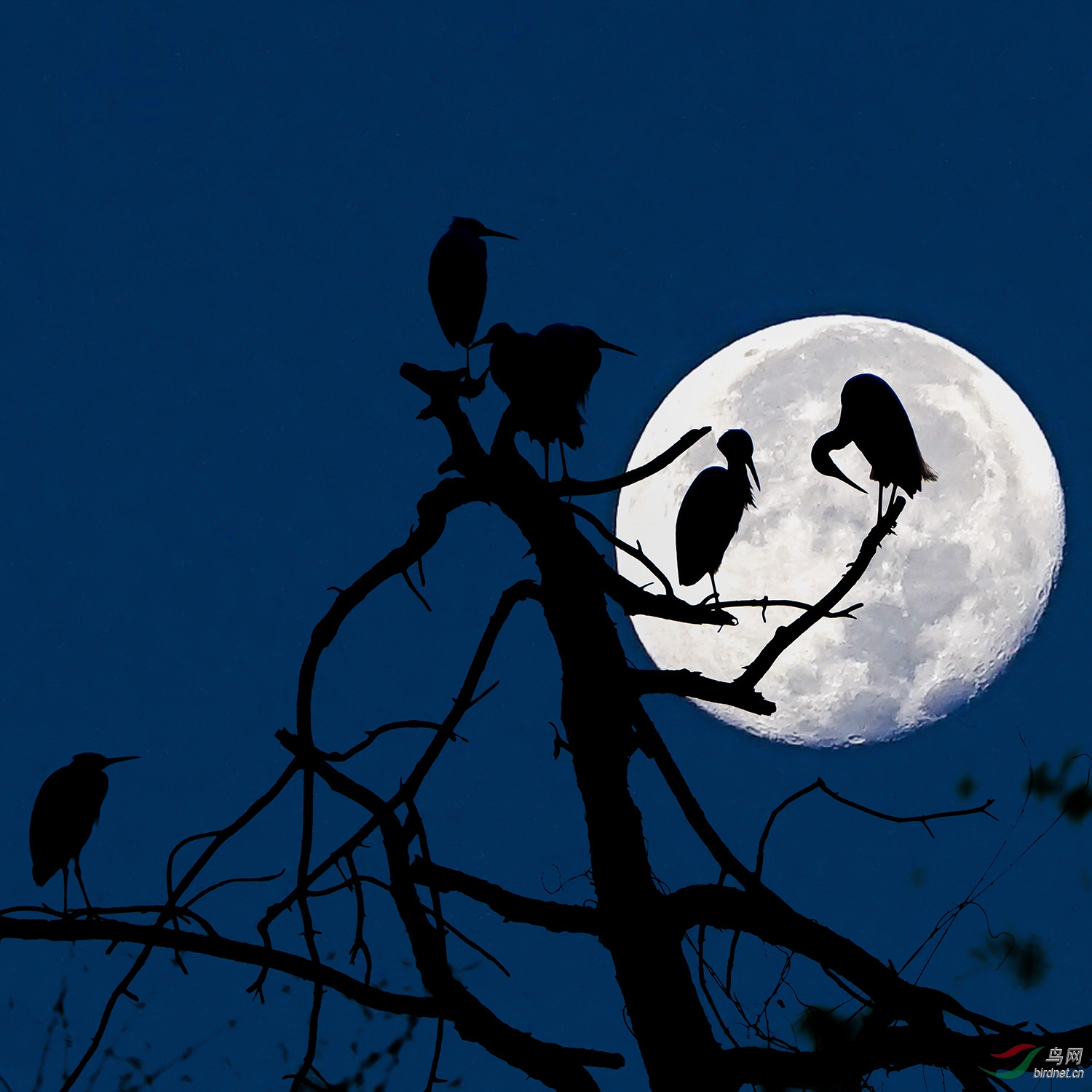 DSC05762-�ָ���-5.jpg