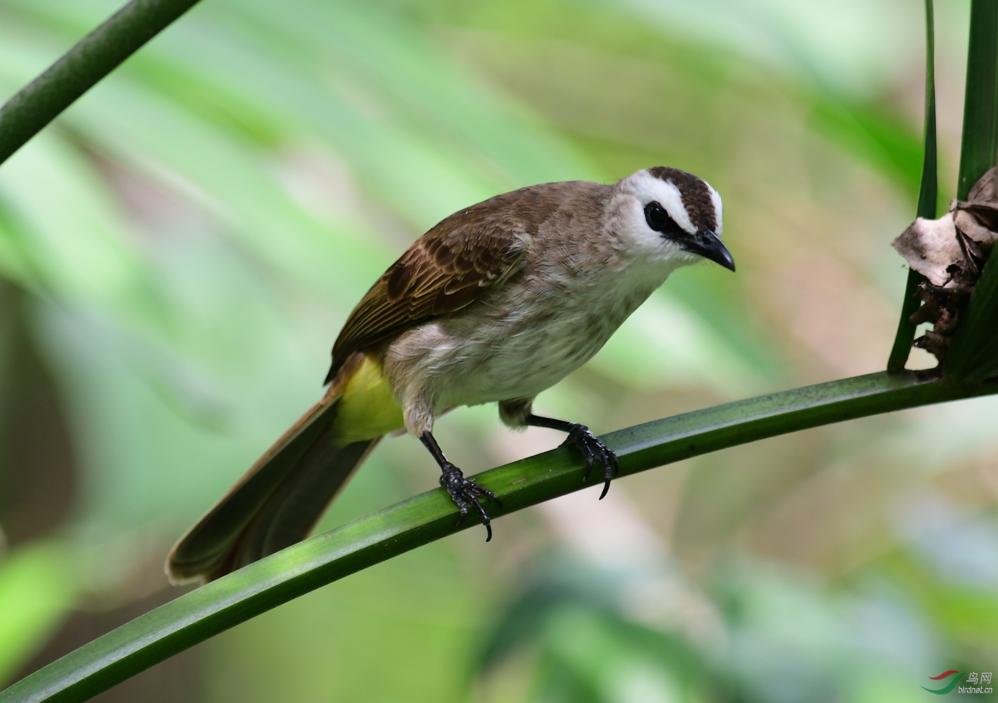 DSC_3067.JPG